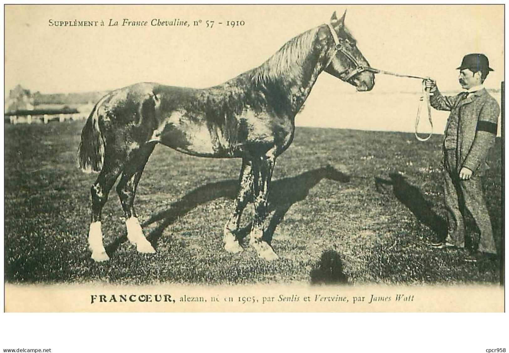 Hippisme.n°35994.francoeur.alezan .1910.CHEVAUX.SUPPLEMENT A LA FRANCE CHEVALINE.dos Blanc.course.cheval.jokey. - Reitsport