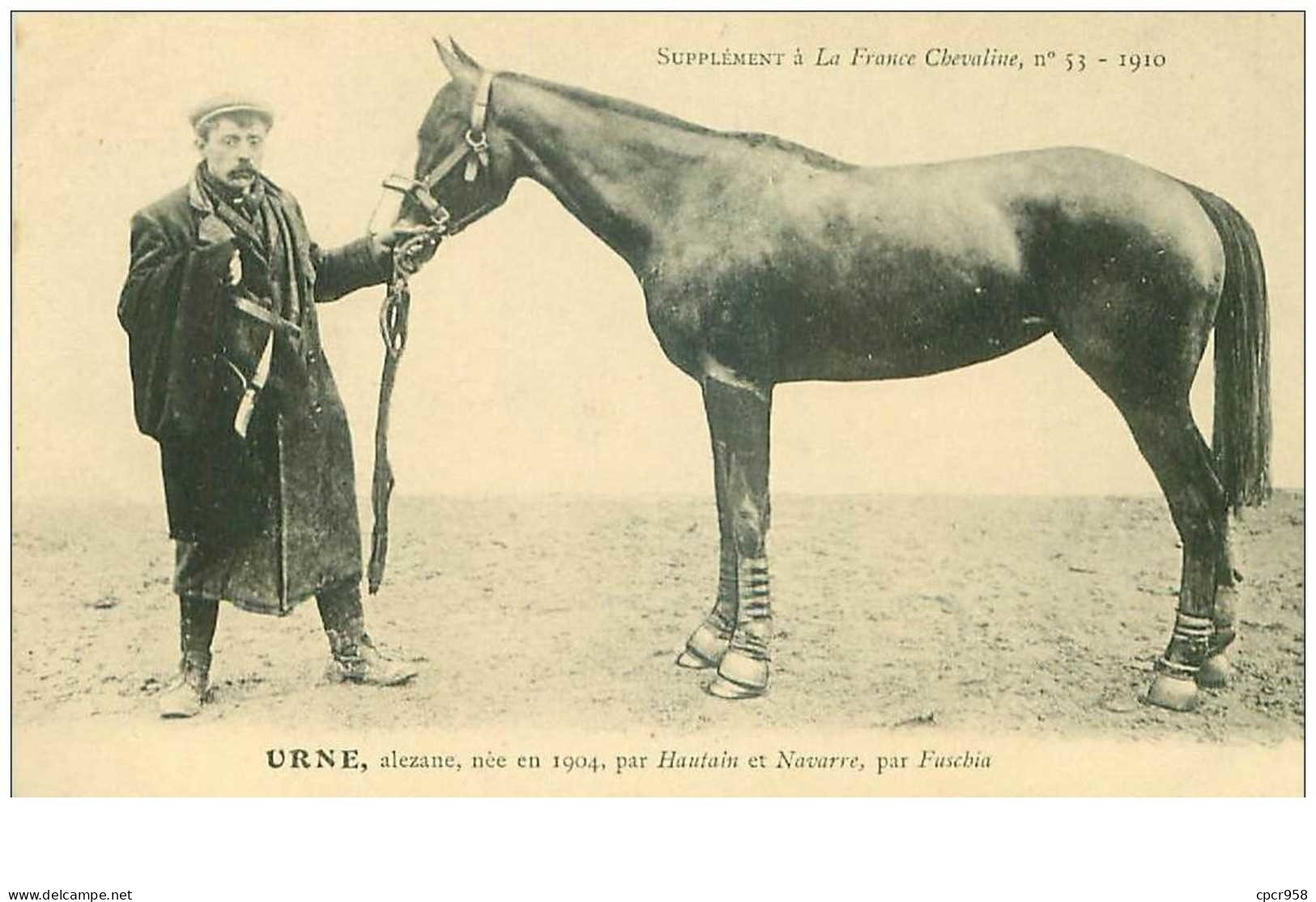 Hippisme.n°35991.urne.alezane .1910.CHEVAUX.SUPPLEMENT A LA FRANCE CHEVALINE.dos Blanc.course.cheval.jokey. - Horse Show