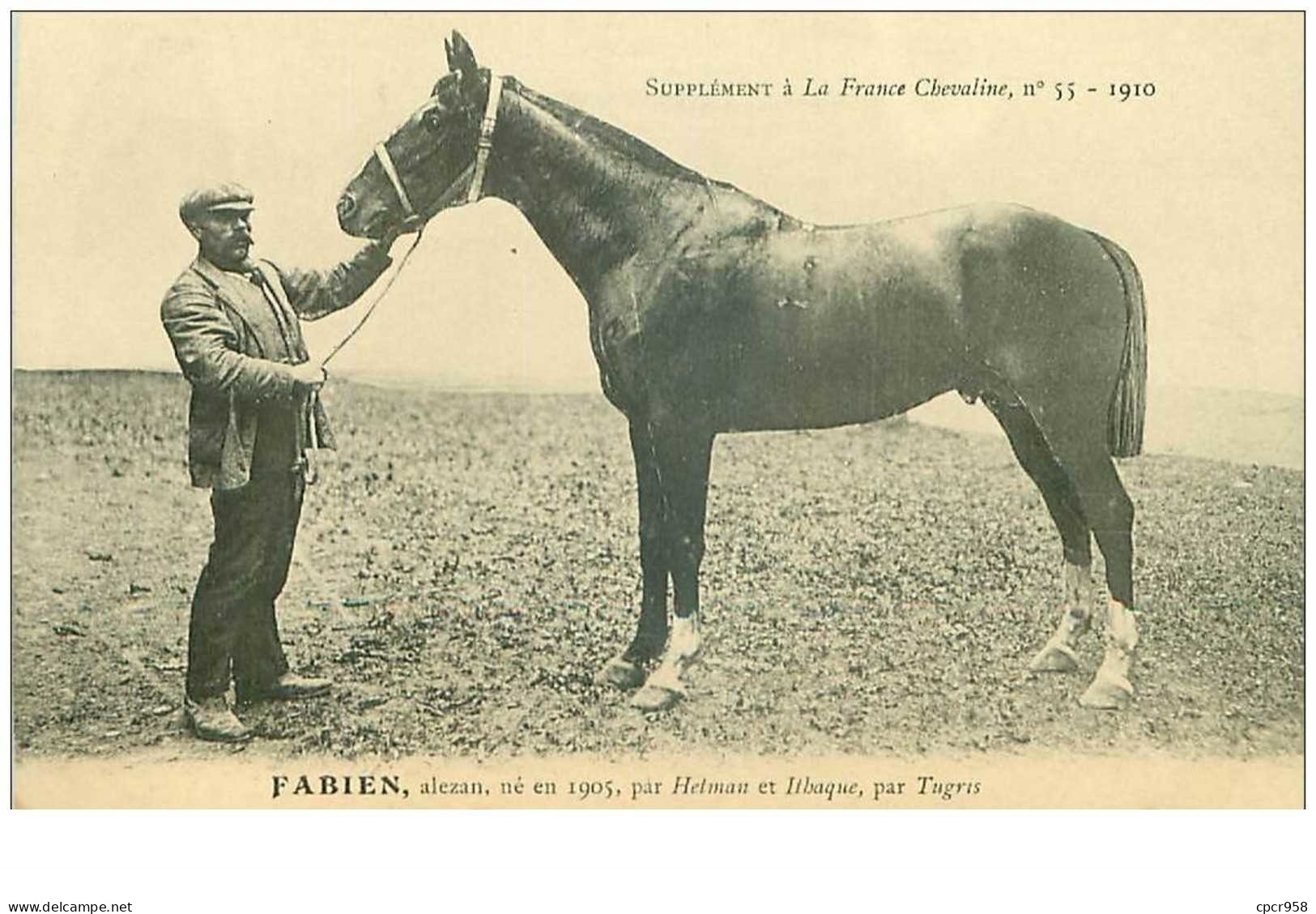 Hippisme.n°35990.fabien.alezan .1910.CHEVAUX.SUPPLEMENT A LA FRANCE CHEVALINE.dos Blanc.course.cheval.jokey. - Hippisme