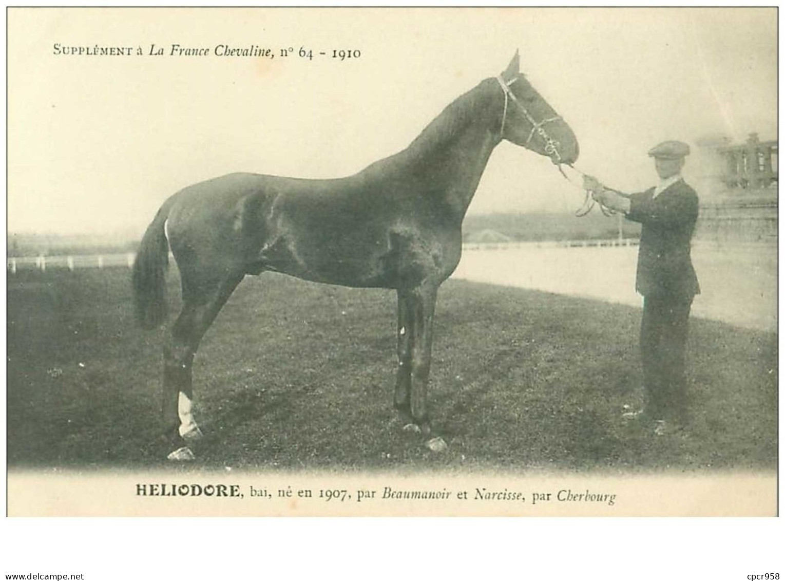 Hippisme.n°35996.heliodore.baie .1910.CHEVAUX.SUPPLEMENT A LA FRANCE CHEVALINE.dos Blanc.course.cheval.jokey. - Hippisme