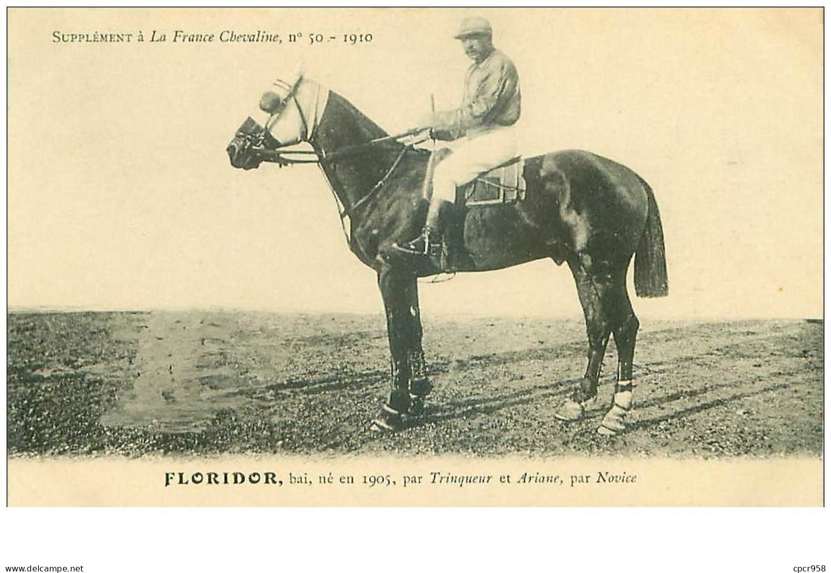 Hippisme.n°35985.floridor.baie .1910.CHEVAUX.SUPPLEMENT A LA FRANCE CHEVALINE.dos Blanc.course.cheval.jokey. - Horse Show