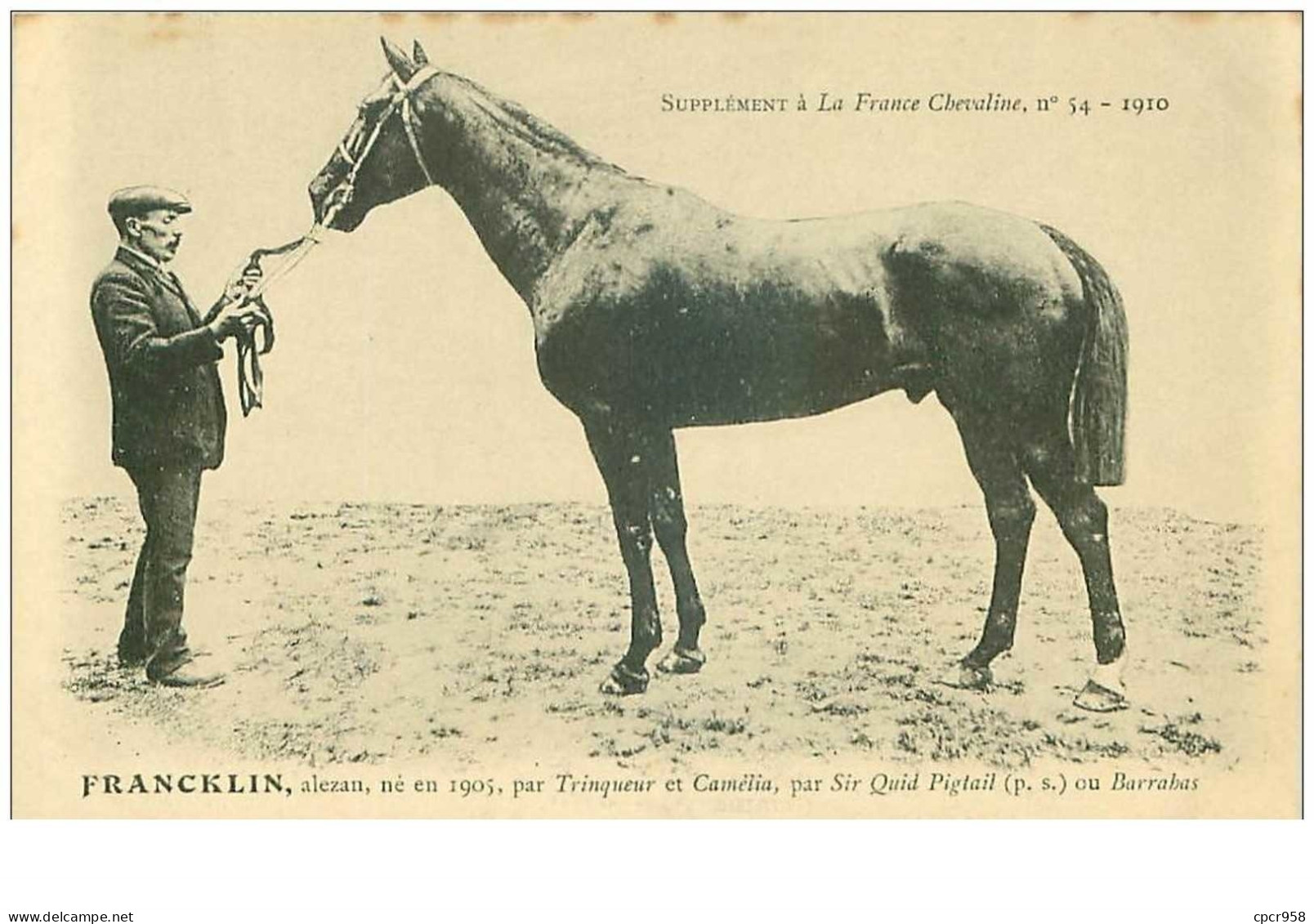Hippisme.n°35989.francklin.alezan .1910.CHEVAUX.SUPPLEMENT A LA FRANCE CHEVALINE.dos Blanc.course.cheval.jokey. - Horse Show