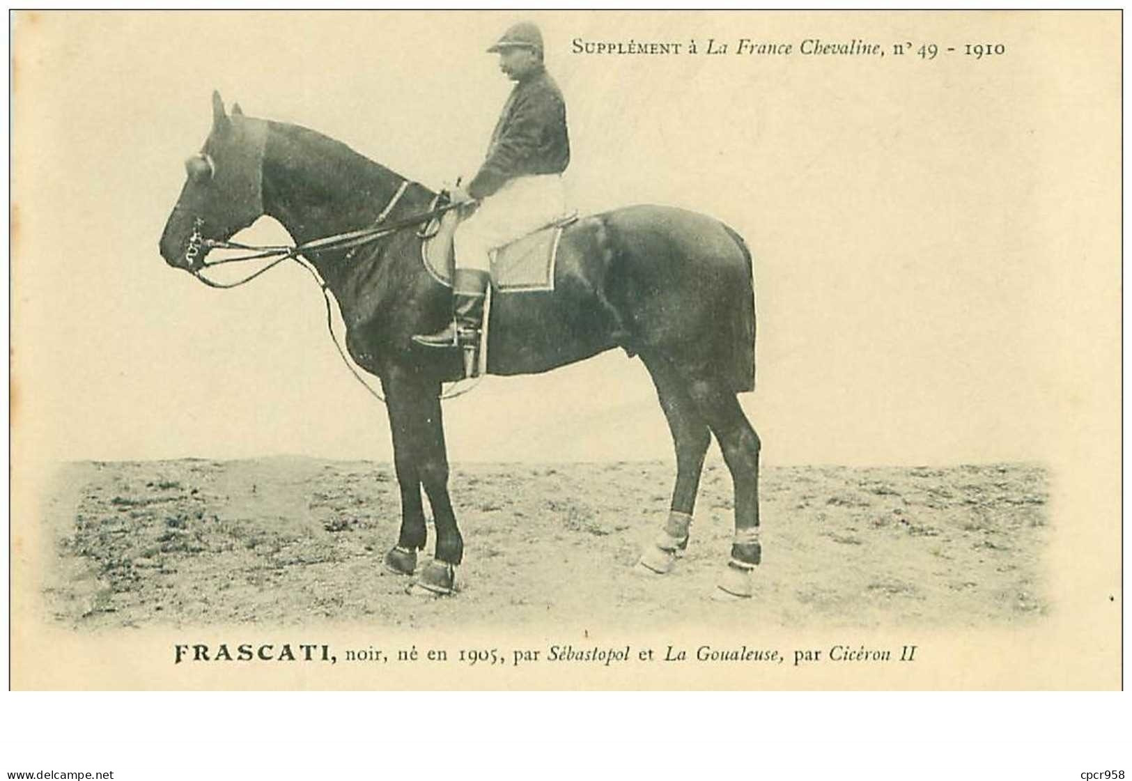 Hippisme.n°35987.frascati.noir .1910.CHEVAUX.SUPPLEMENT A LA FRANCE CHEVALINE.dos Blanc.course.cheval.jokey. - Reitsport
