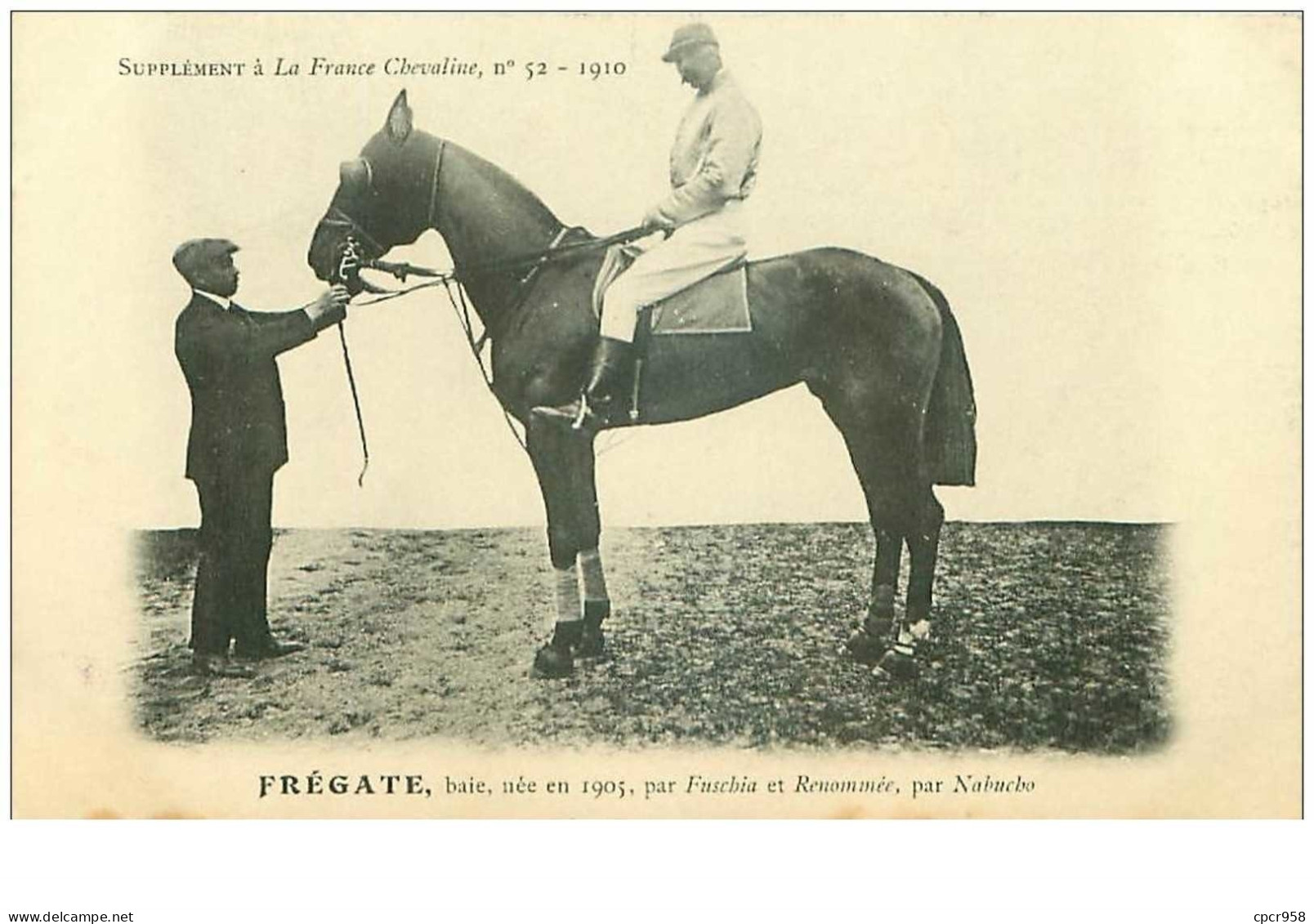 Hippisme.n°35984.frégate.baie .1910.CHEVAUX.SUPPLEMENT A LA FRANCE CHEVALINE.dos Blanc.course.cheval.jokey. - Horse Show