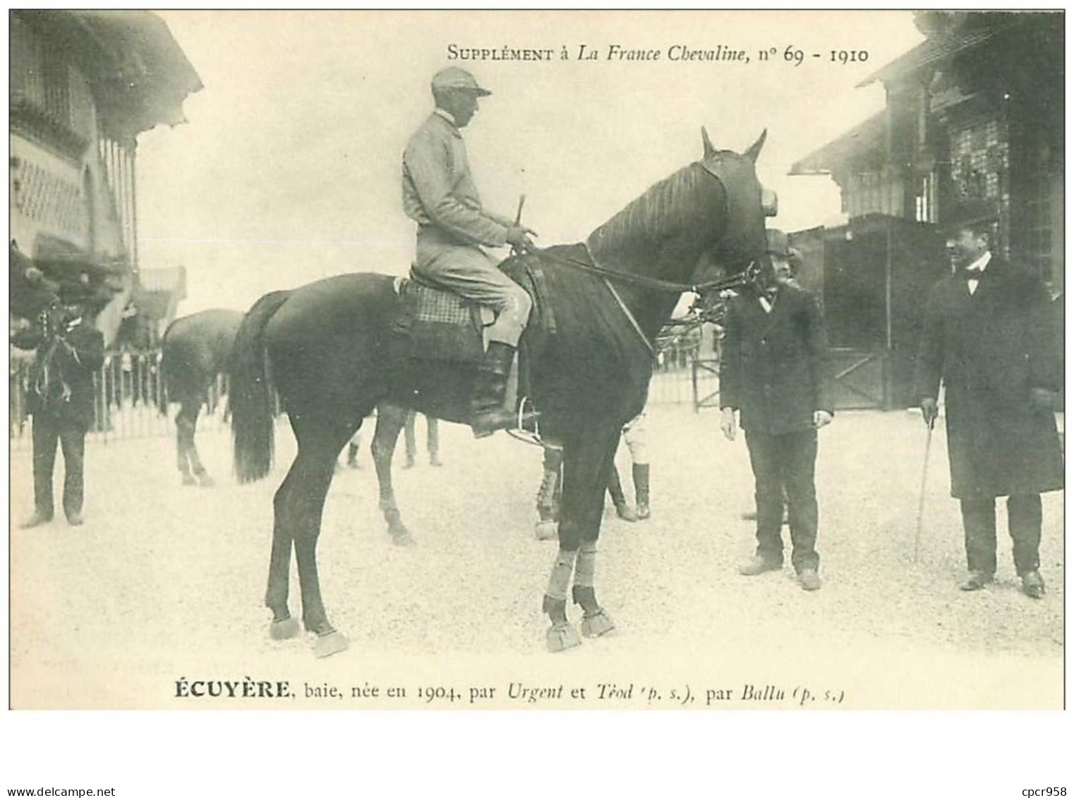 Hippisme.n°35979.écuyère.baie .1910.CHEVAUX.SUPPLEMENT A LA FRANCE CHEVALINE.dos Blanc.course.cheval.jokey. - Hippisme