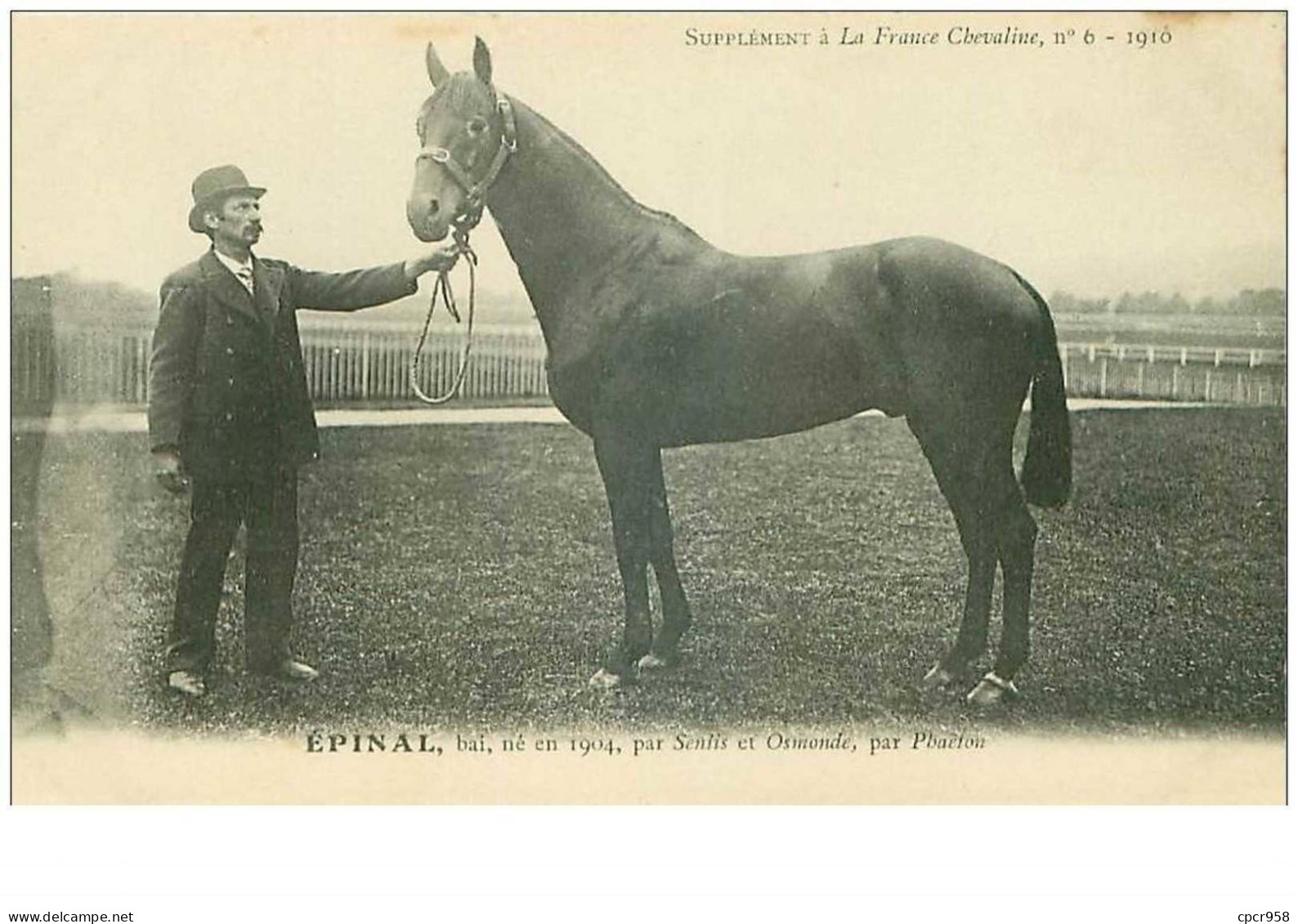 Hippisme.n°35981.épinal.baie .1910.CHEVAUX.SUPPLEMENT A LA FRANCE CHEVALINE.dos Blanc.course.cheval.jokey. - Horse Show