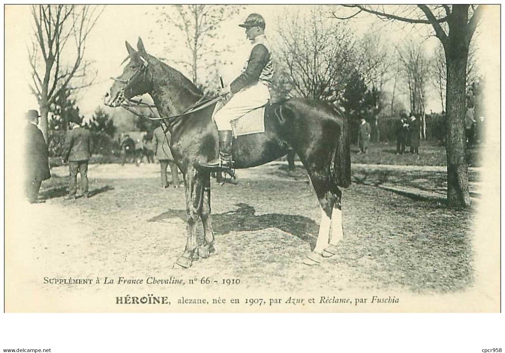 Hippisme.n°35973.héroine.alezane .1910.CHEVAUX.SUPPLEMENT A LA FRANCE CHEVALINE.dos Blanc.course.cheval.jokey. - Hípica