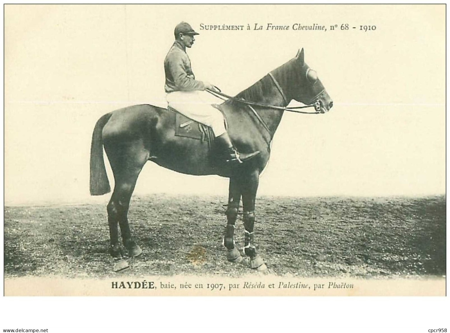 Hippisme.n°35974.haydée.baie .1910.CHEVAUX.SUPPLEMENT A LA FRANCE CHEVALINE.dos Blanc.course.cheval.jokey. - Hippisme