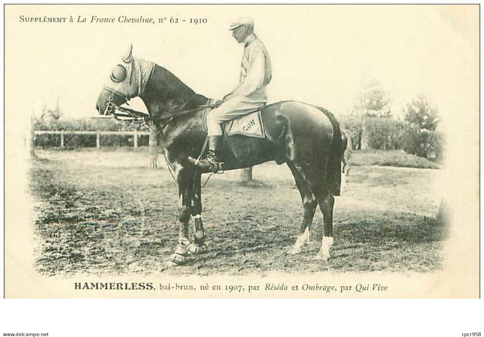 Hippisme.n°35971.hammerless.bai-brun .1910.CHEVAUX.SUPPLEMENT A LA FRANCE CHEVALINE.dos Blanc.course.cheval.jokey. - Hípica