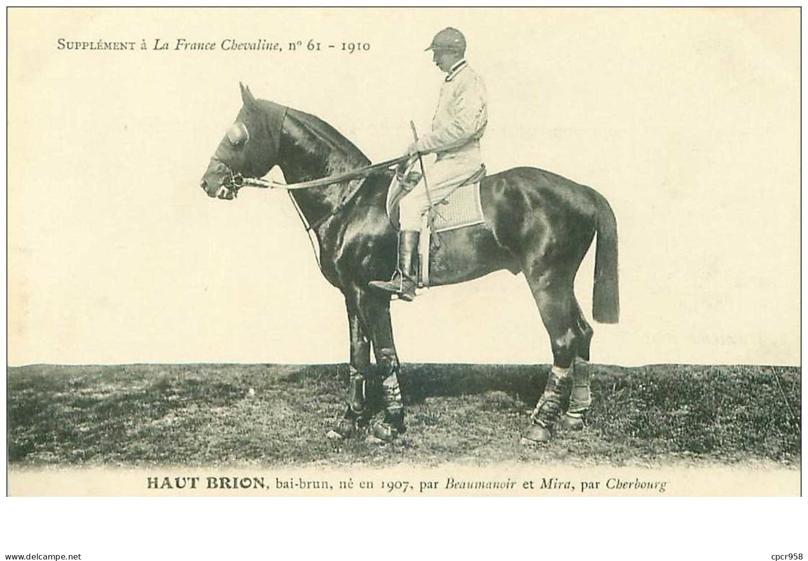 Hippisme.n°35972.haut Brion.bai-brun .1910.CHEVAUX.SUPPLEMENT A LA FRANCE CHEVALINE.dos Blanc.course.cheval.jokey. - Reitsport