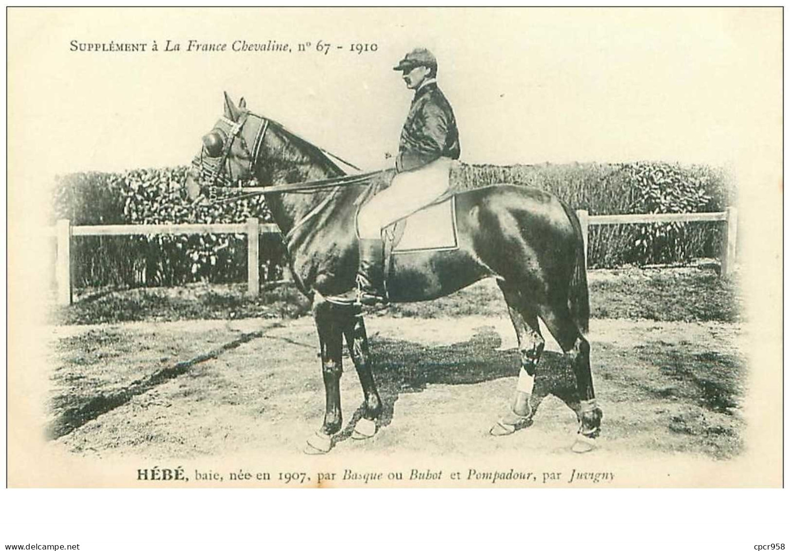 Hippisme.n°35976.hébé.baie .1910.CHEVAUX.SUPPLEMENT A LA FRANCE CHEVALINE.dos Blanc.course.cheval.jokey. - Reitsport