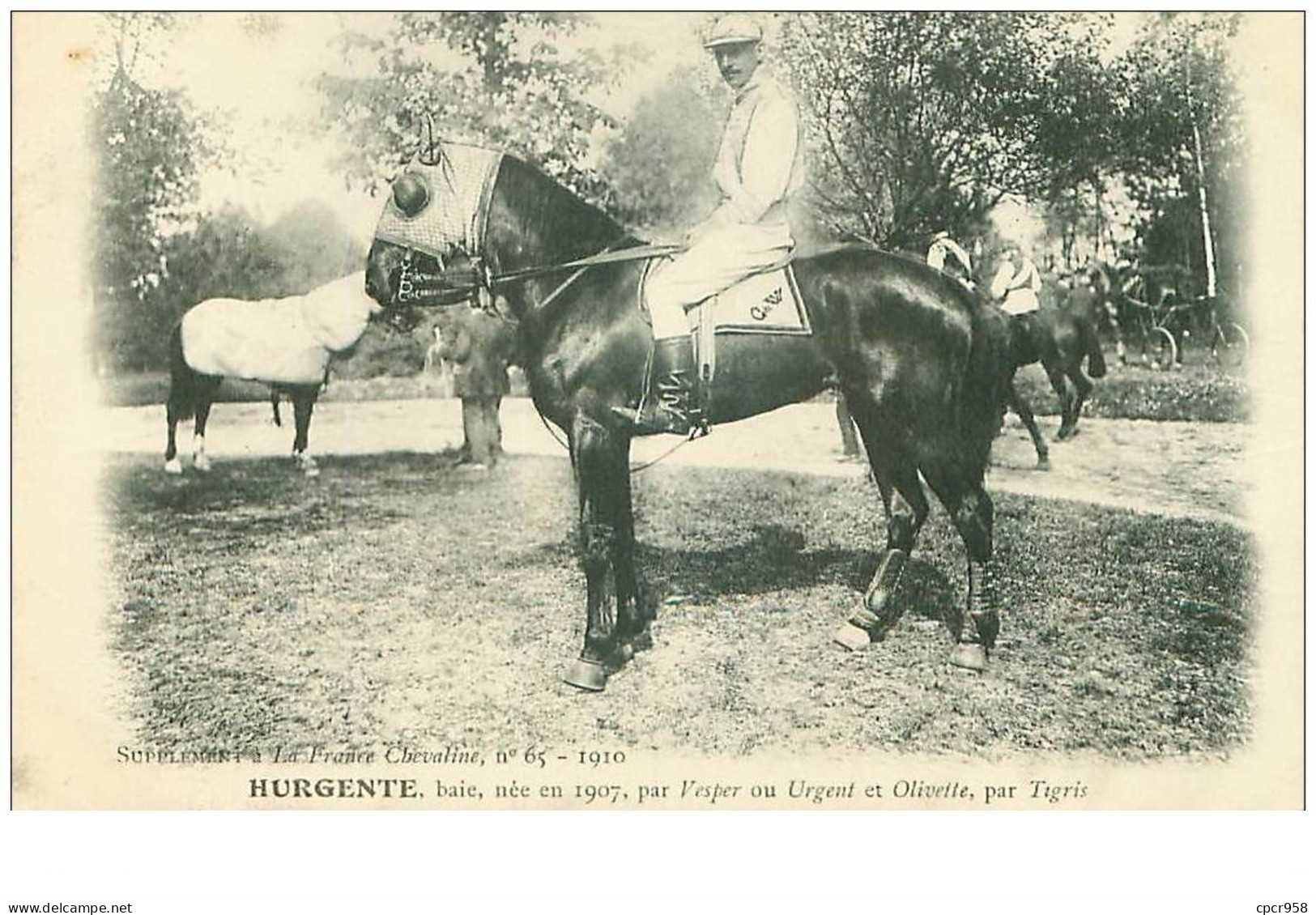 Hippisme.n°35975.hurgente.baie .1910.CHEVAUX.SUPPLEMENT A LA FRANCE CHEVALINE.dos Blanc.course.cheval.jokey. - Horse Show