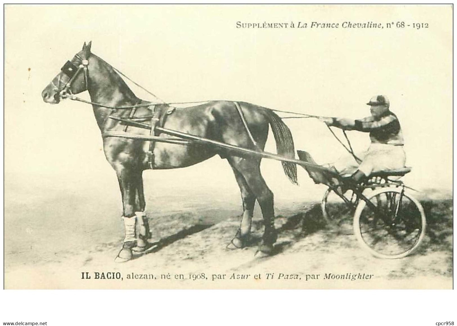 Hippisme.n°35969.il Bacio.alezan .1912.CHEVAUX.sulky.SUPPLEMENT A LA FRANCE CHEVALINE.dos Blanc.course.cheval.jokey. - Hippisme