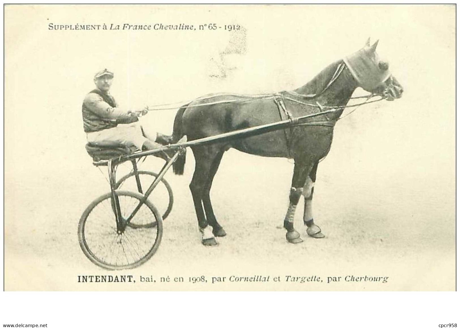 Hippisme.n°35970.intendant.bai .1912.CHEVAUX.sulky.SUPPLEMENT A LA FRANCE CHEVALINE.dos Blanc.course.cheval.jokey. - Horse Show