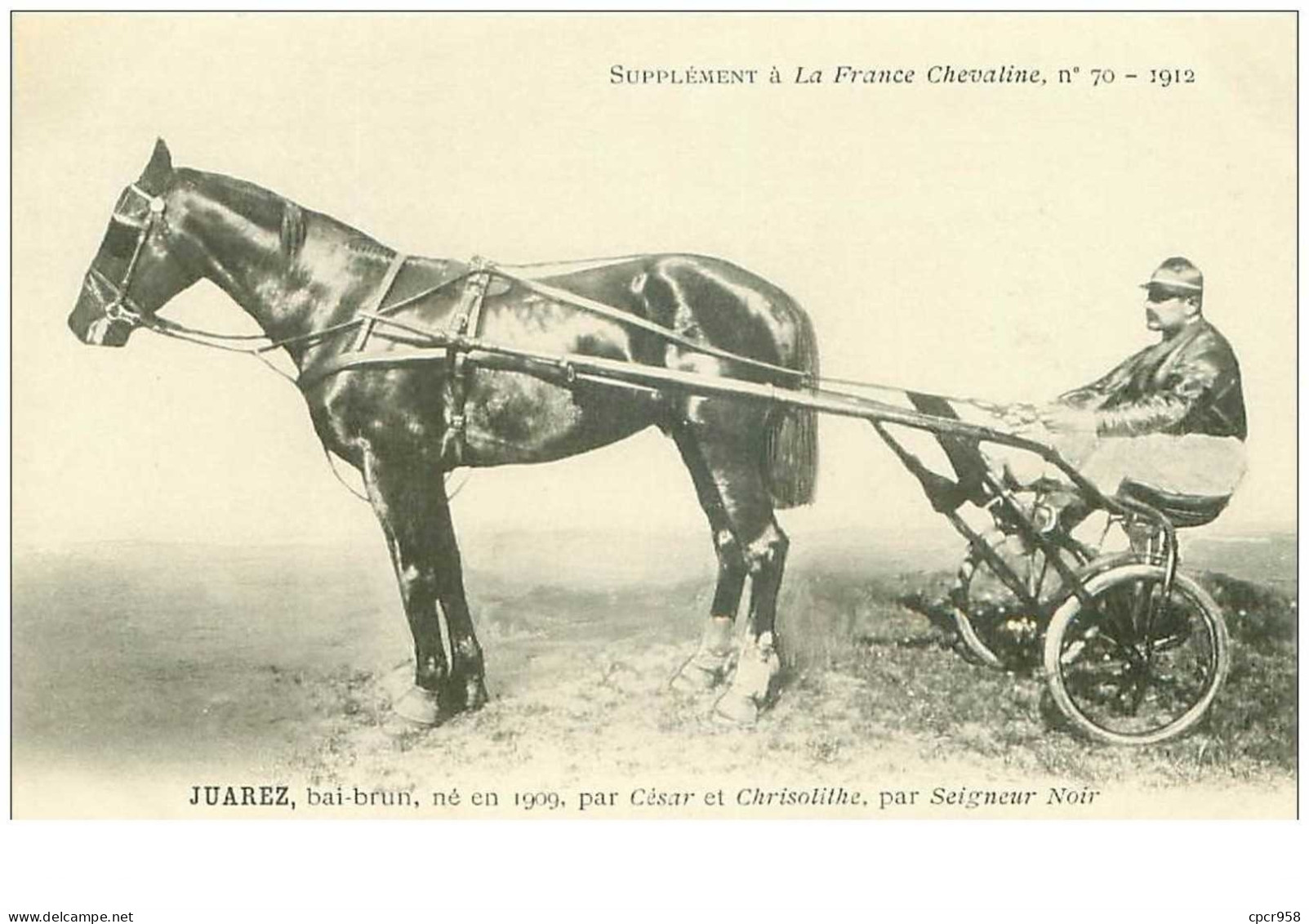 Hippisme.n°35966.juarez.bai Brun.1912.CHEVAUX.sulky.SUPPLEMENT A LA FRANCE CHEVALINE.dos Blanc.course.cheval.jokey. - Horse Show