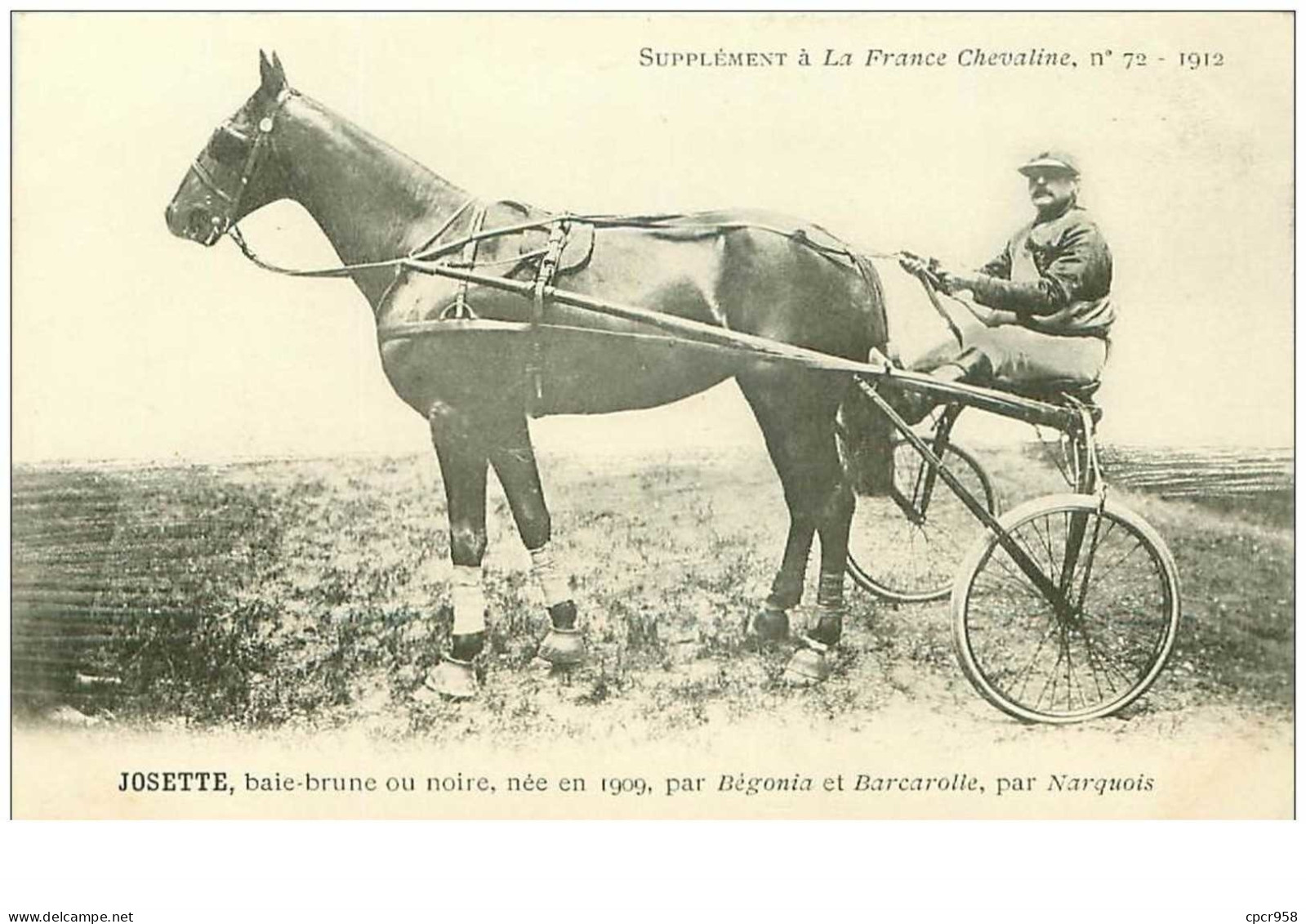 Hippisme.n°35967.josette.bai Brune .1912.CHEVAUX.sulky.SUPPLEMENT A LA FRANCE CHEVALINE.dos Blanc.course.cheval.jokey. - Reitsport