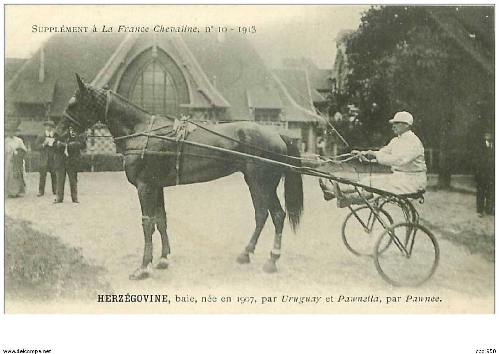 Hippisme.n°35962.herzegovine.baie.1913.CHEVAUX.sulky.SUPPLEMENT A LA FRANCE CHEVALINE.dos Blanc.course.cheval.jokey. - Horse Show
