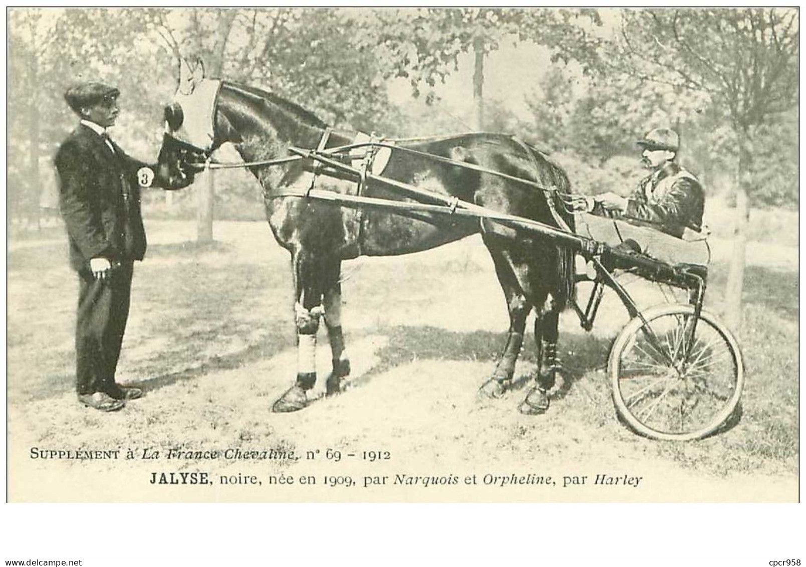 Hippisme.n°35964.jalyse.noire.1912.CHEVAUX.sulky.SUPPLEMENT A LA FRANCE CHEVALINE.dos Blanc.course.cheval.jokey. - Horse Show