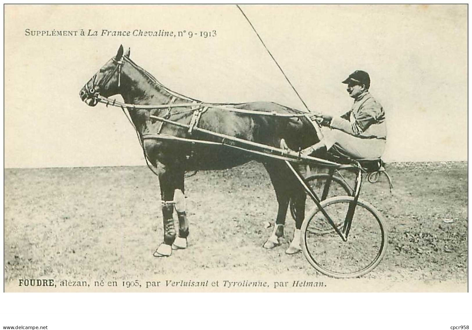 Hippisme.n°35959.foudre.alezan.1913.CHEVAUX.sulky.SUPPLEMENT A LA FRANCE CHEVALINE.dos Blanc.course.cheval.jokey. - Reitsport