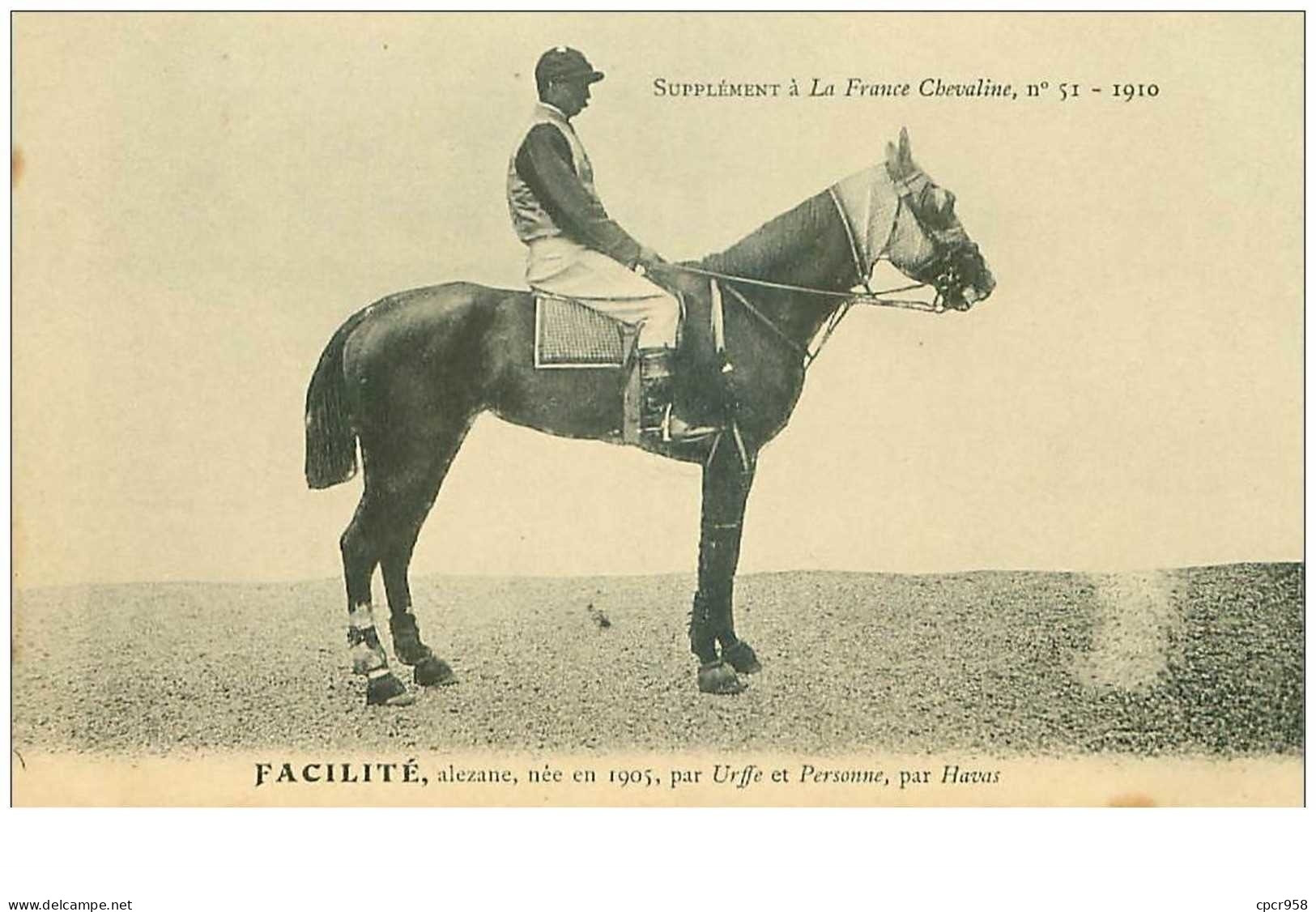 Hippisme.n°35986.facilité.alezane .1910.CHEVAUX.SUPPLEMENT A LA FRANCE CHEVALINE.dos Blanc.course.cheval.jokey. - Reitsport