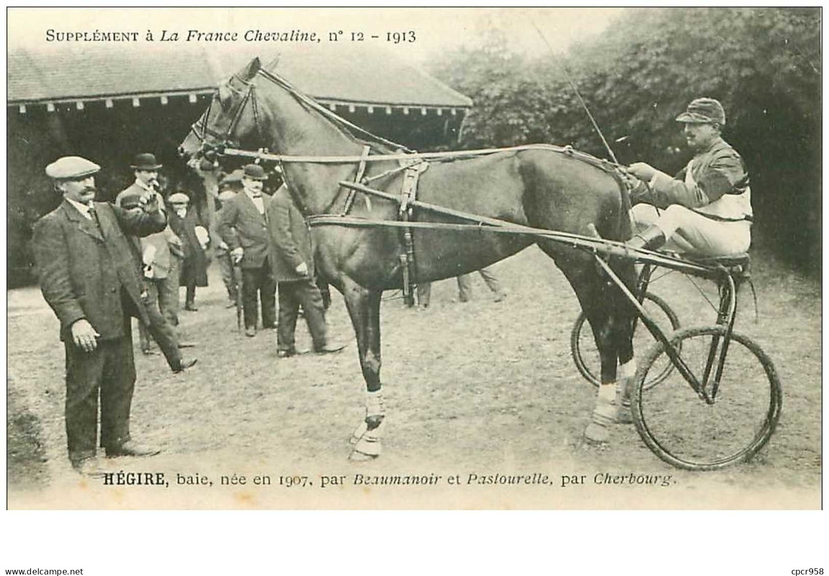 Hippisme.n°35961.hegire.baie.1913.CHEVAUX.sulky.SUPPLEMENT A LA FRANCE CHEVALINE.dos Blanc.course.cheval.jokey. - Horse Show