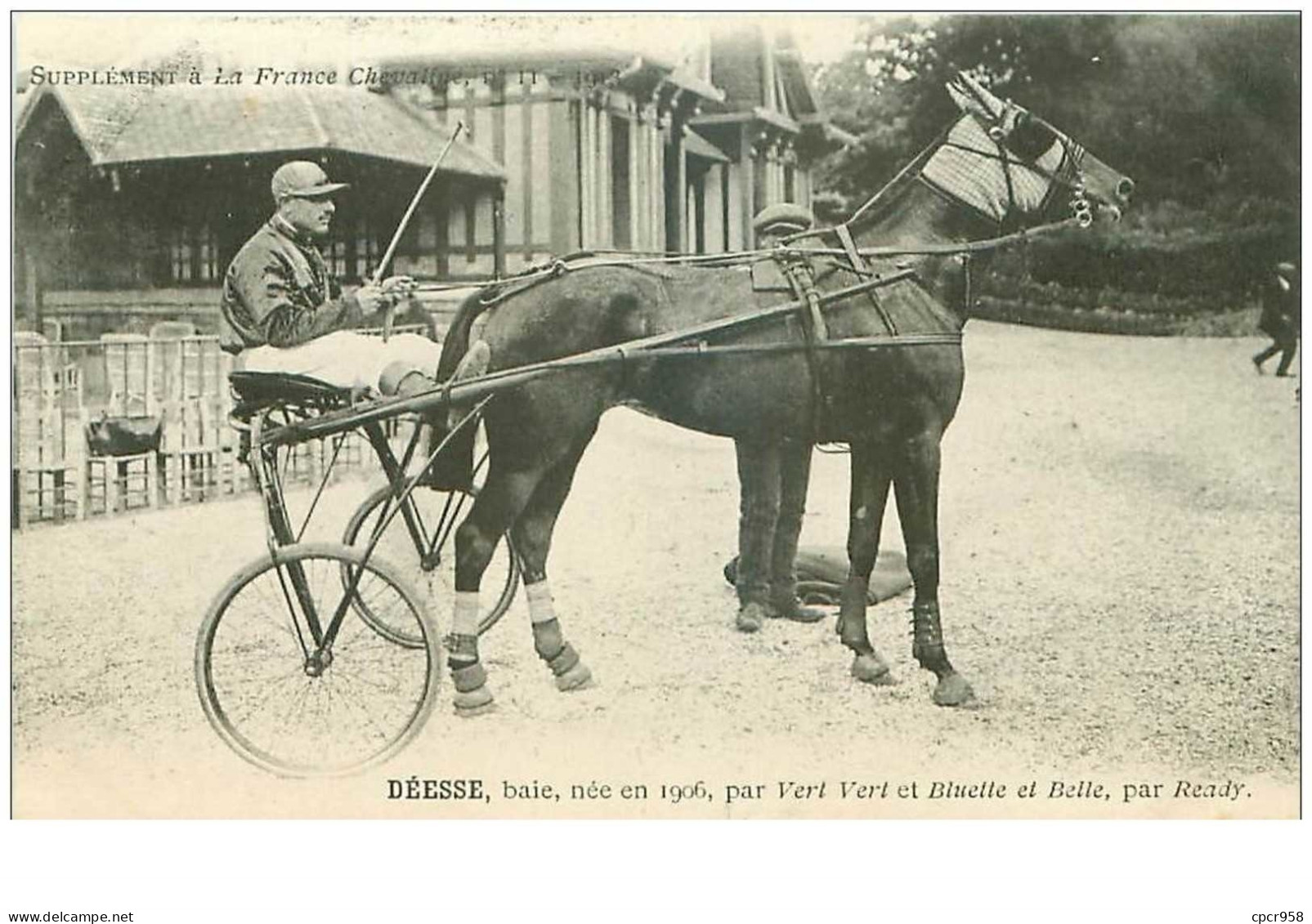 Hippisme.n°35960.deesse.baie.1913.CHEVAUX.sulky.SUPPLEMENT A LA FRANCE CHEVALINE.dos Blanc.course.cheval.jokey. - Hippisme