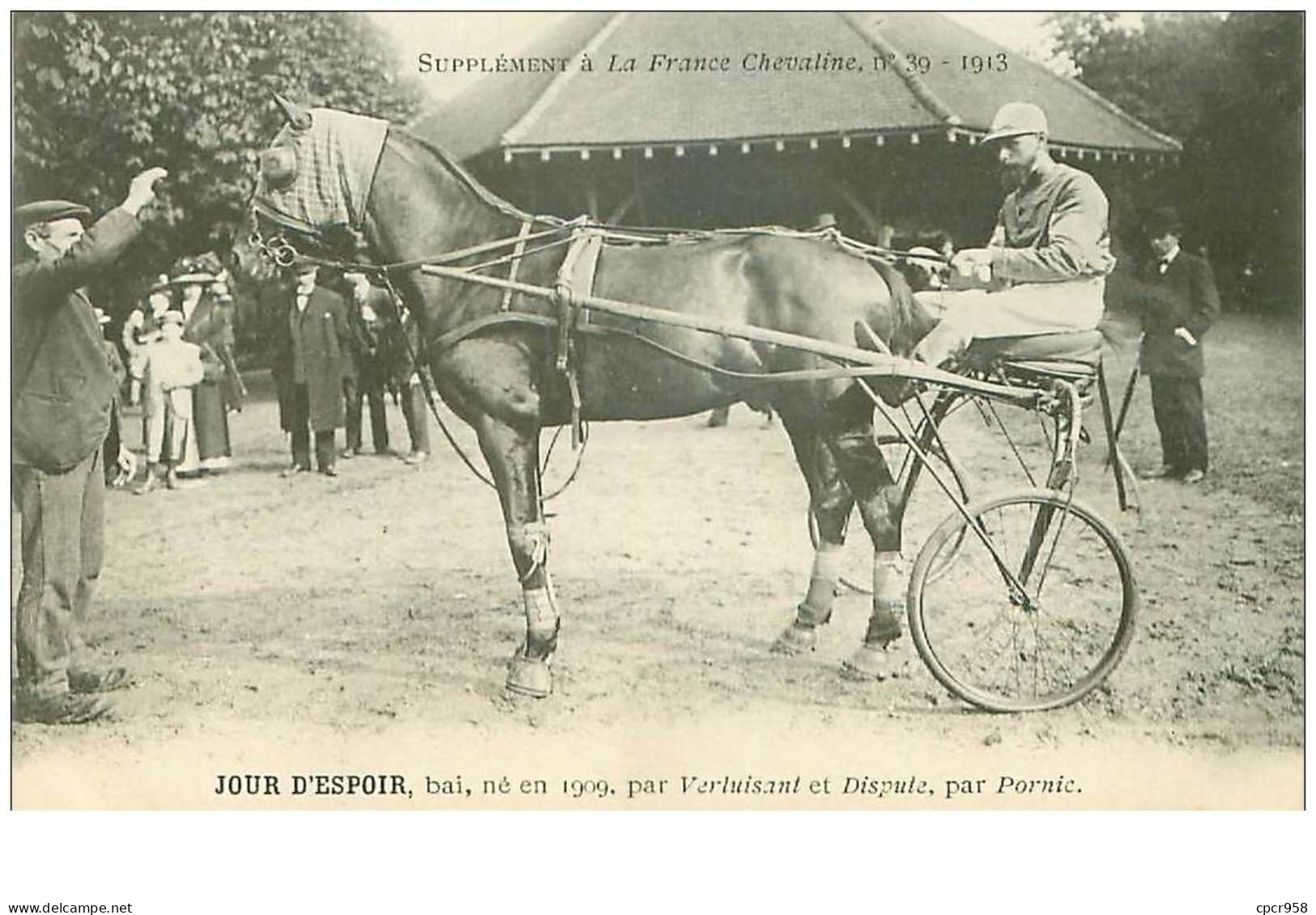 Hippisme.n°35954.jour D Espoir.bai.1913.CHEVAUX.sulky.SUPPLEMENT A LA FRANCE CHEVALINE.dos Blanc.course.cheval.jokey. - Hippisme