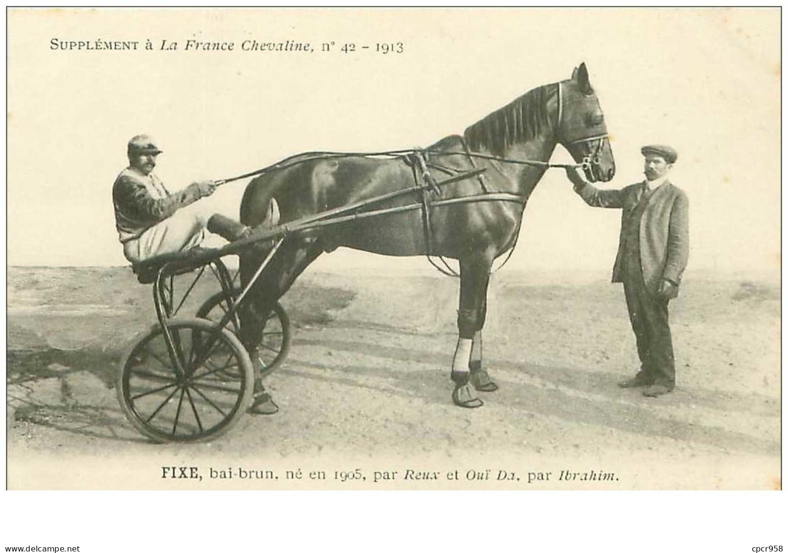 Hippisme.n°35956.fixe.bai Brun.1913.CHEVAUX.sulky.SUPPLEMENT A LA FRANCE CHEVALINE.dos Blanc.course.cheval.jokey. - Horse Show
