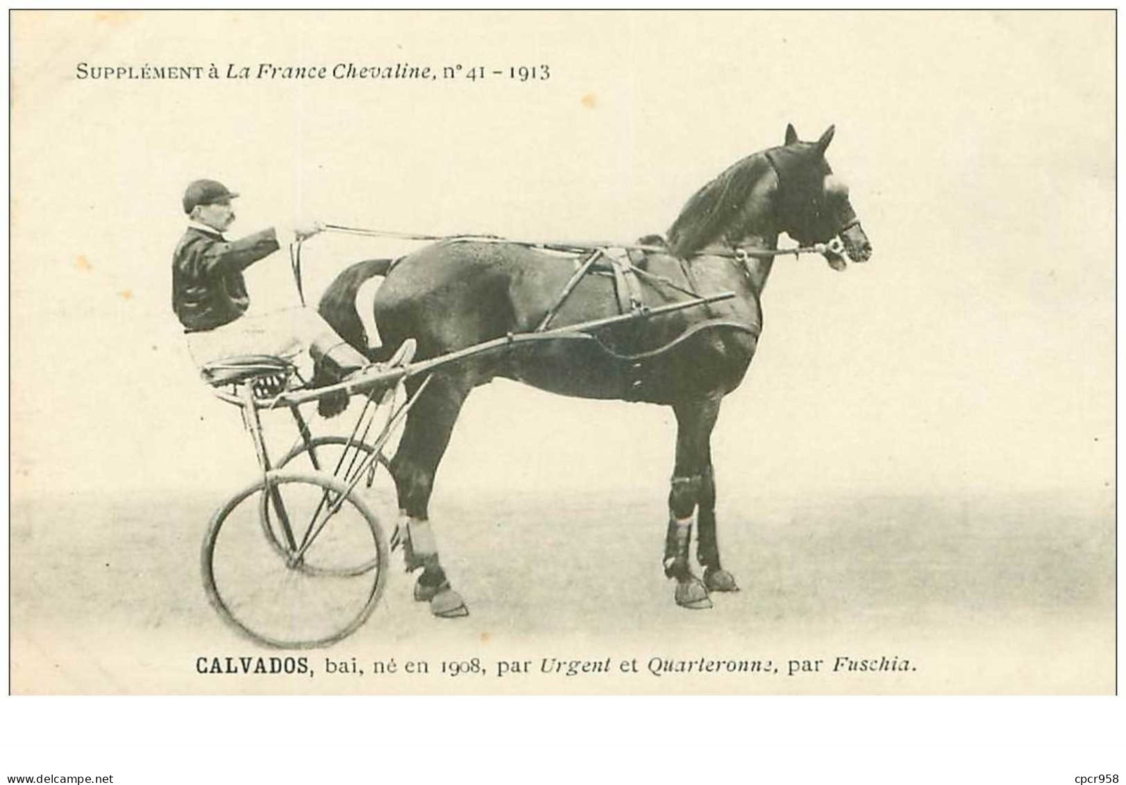 Hippisme.n°35955.calvados.bai.1913.CHEVAUX.sulky.SUPPLEMENT A LA FRANCE CHEVALINE.dos Blanc.course.cheval.jokey. - Horse Show