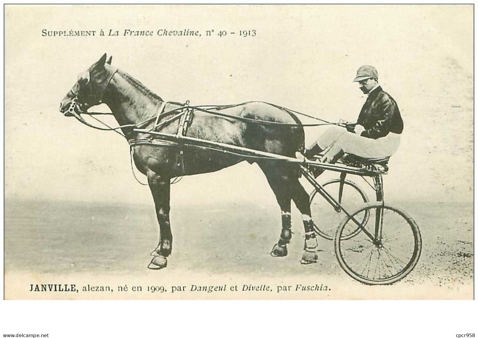 Hippisme.n°35953.janville.1913.alezan.CHEVAUX.sulky.SUPPLEMENT A LA FRANCE CHEVALINE.dos Blanc.course.cheval.jokey. - Horse Show