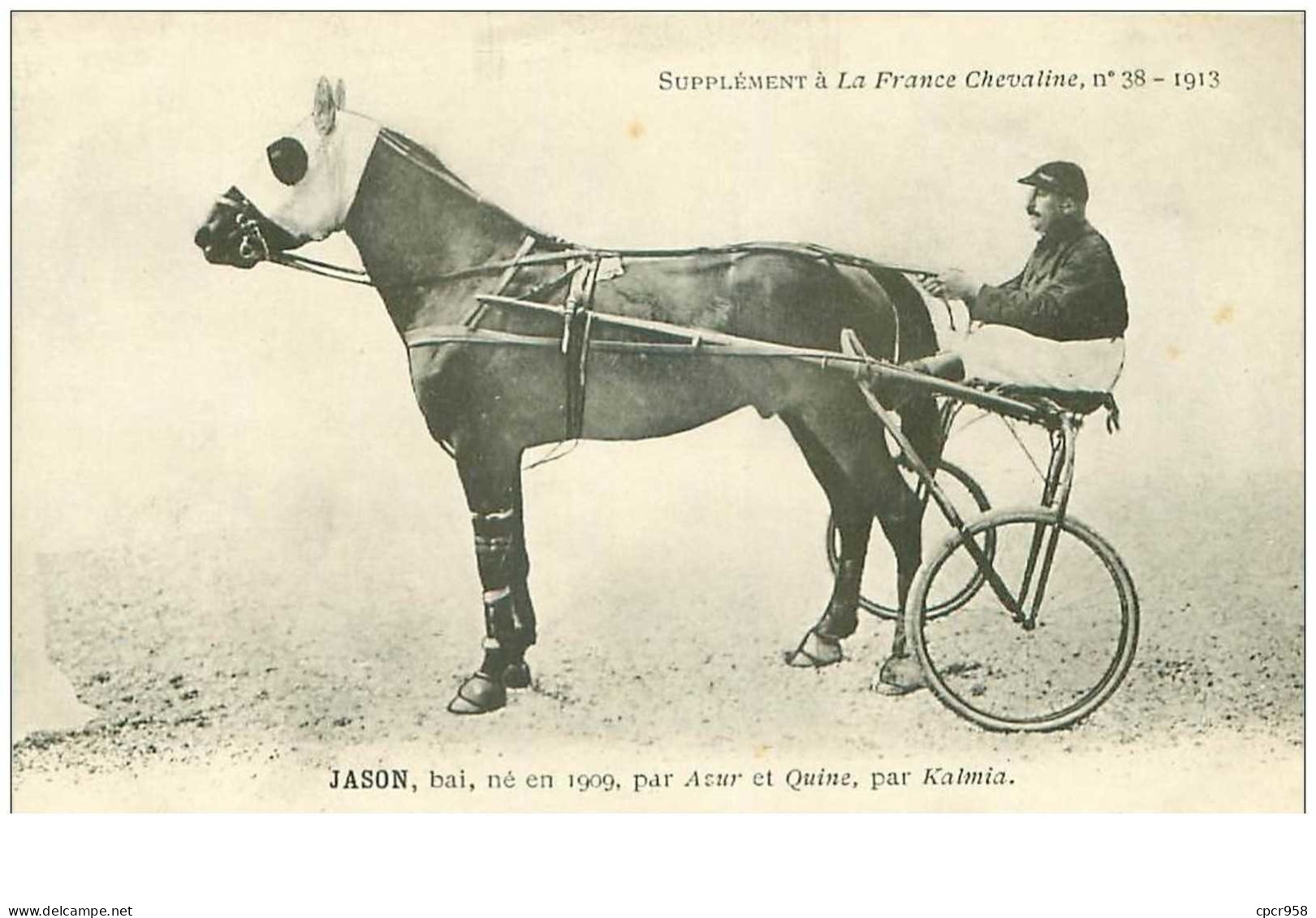 Hippisme.n°35952.jason.1913.bai.CHEVAUX.sulky.SUPPLEMENT A LA FRANCE CHEVALINE.course.cheval.jokey. - Reitsport