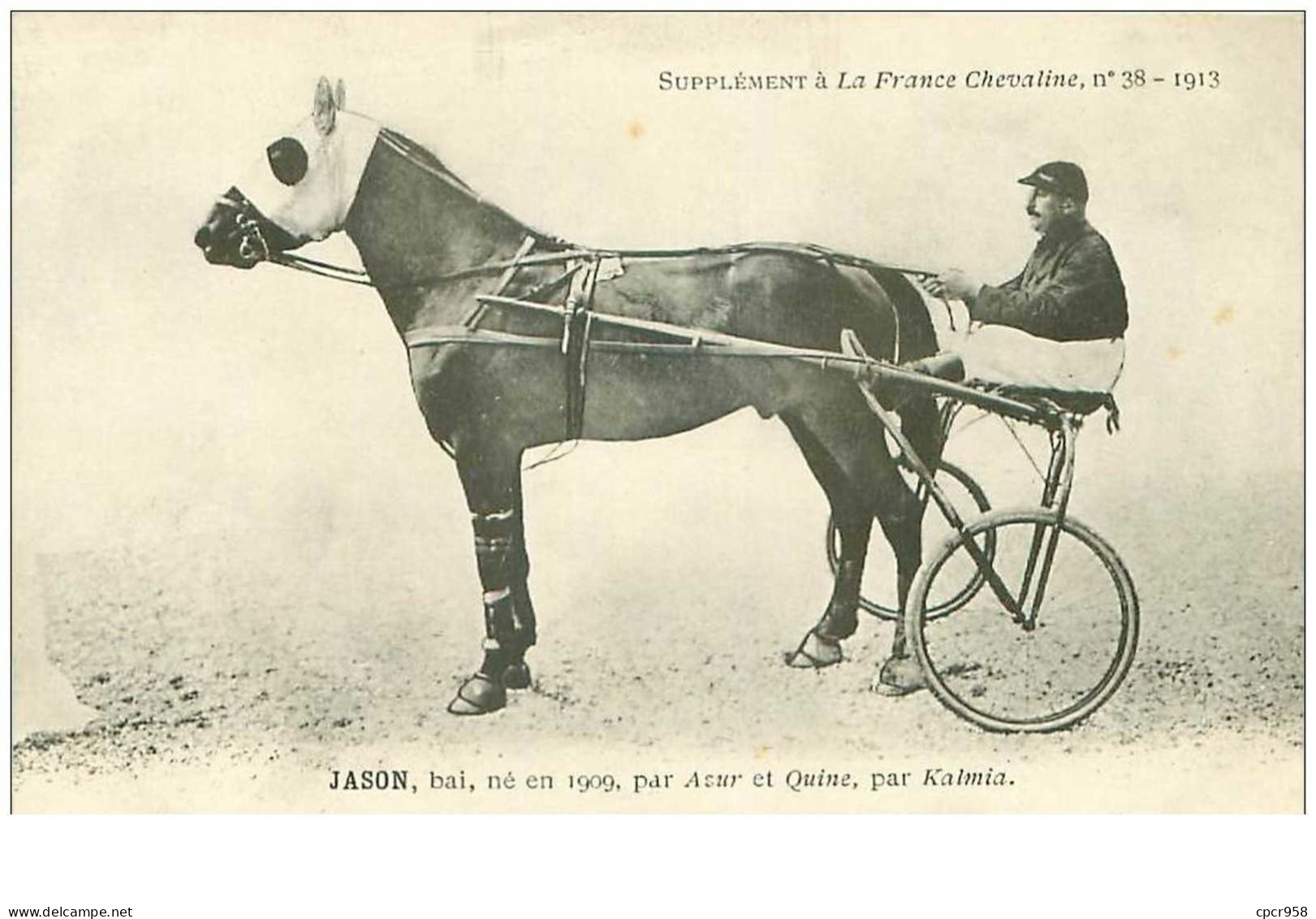 Hippisme.n°35952.jason.1913.bai.CHEVAUX.sulky.SUPPLEMENT A LA FRANCE CHEVALINE.course.cheval.jokey. - Horse Show