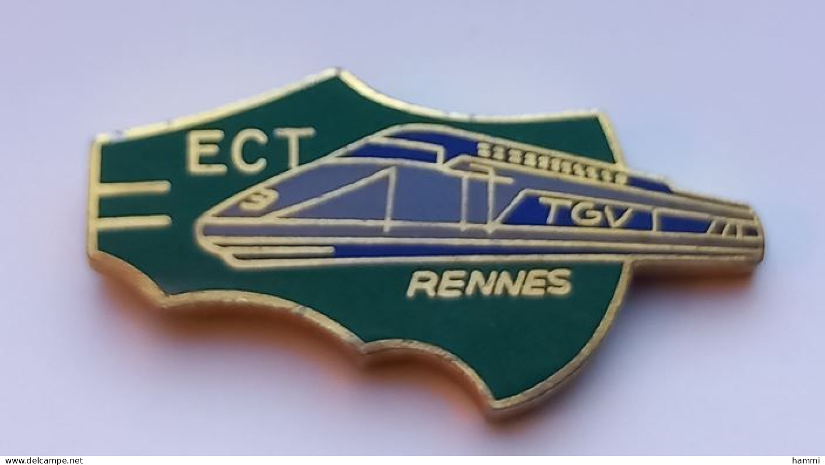 N33 Pin's SNCF TGV ECT Rennes Ille-et-Vilaine Carte Bretagne Qualité EGF Inscrit Téléthon 91 Au Dos Achat Immédiat - TGV