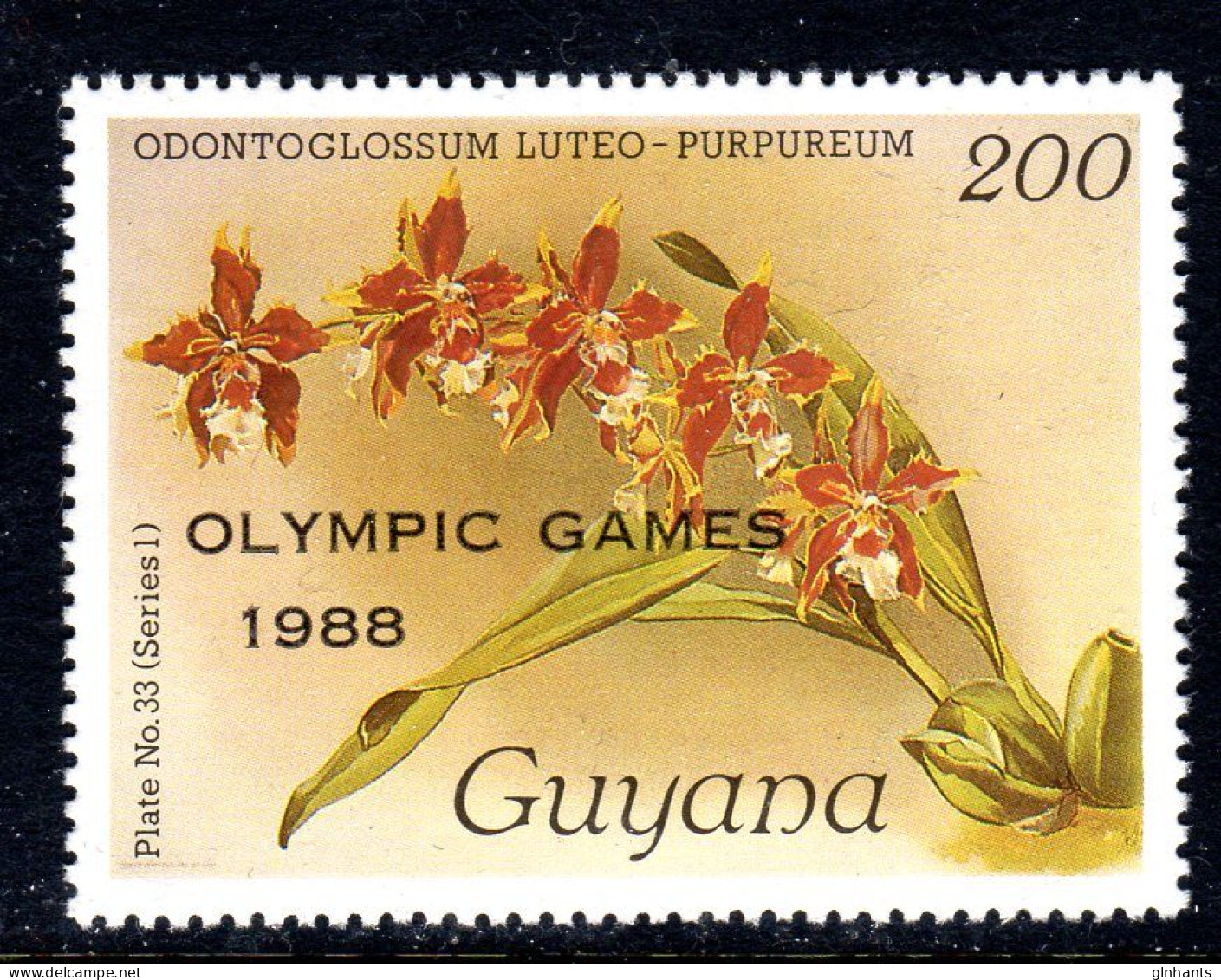 GUYANA - 1989 REICHENBACHIA ORCHIDS OVERPRINTED OLYMPIC GAMES PLATE 33 SERIES 1 FINE MNH ** SG 2479 - Guyana (1966-...)