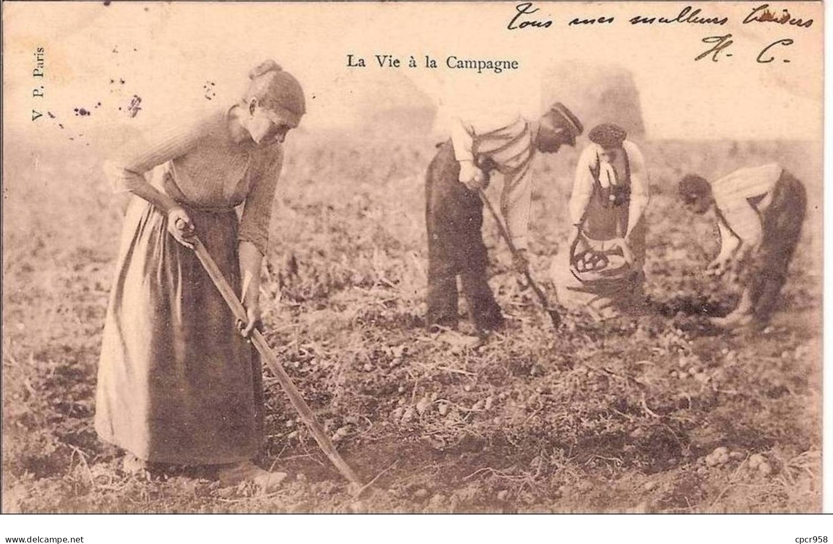 METIERS.PAYSANS.LA VIE A LA CAMPAGNE.POMMES  DE TERRE. - Campesinos