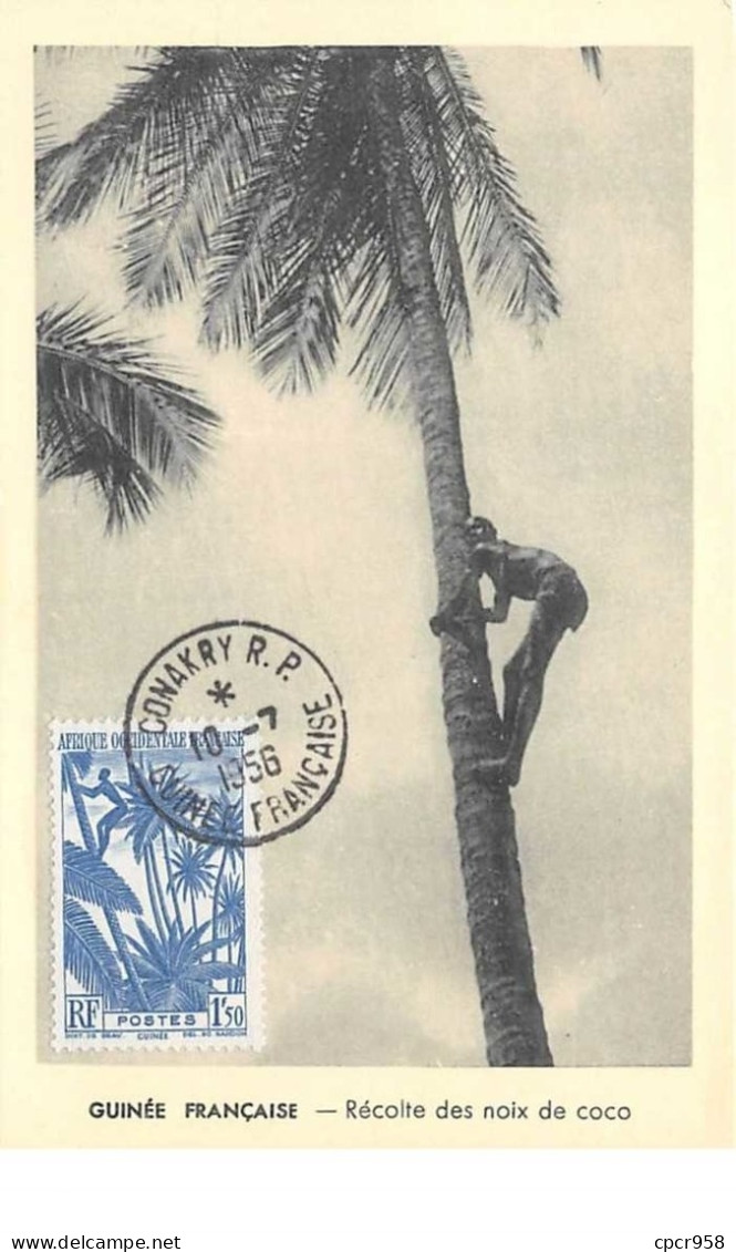 Guinée.n°57966.récolte Des Noix De Coco.carte Maximum. - Guinea