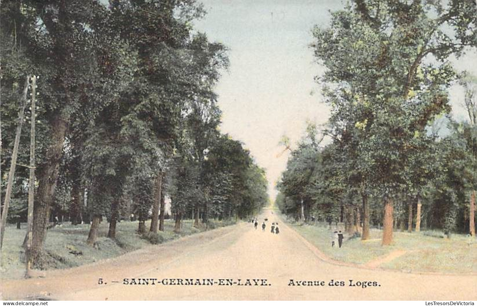 France - Saint Germain En Laye - Avenue Des Loges - Colorisé  -  Carte Postale Ancienne - St. Germain En Laye