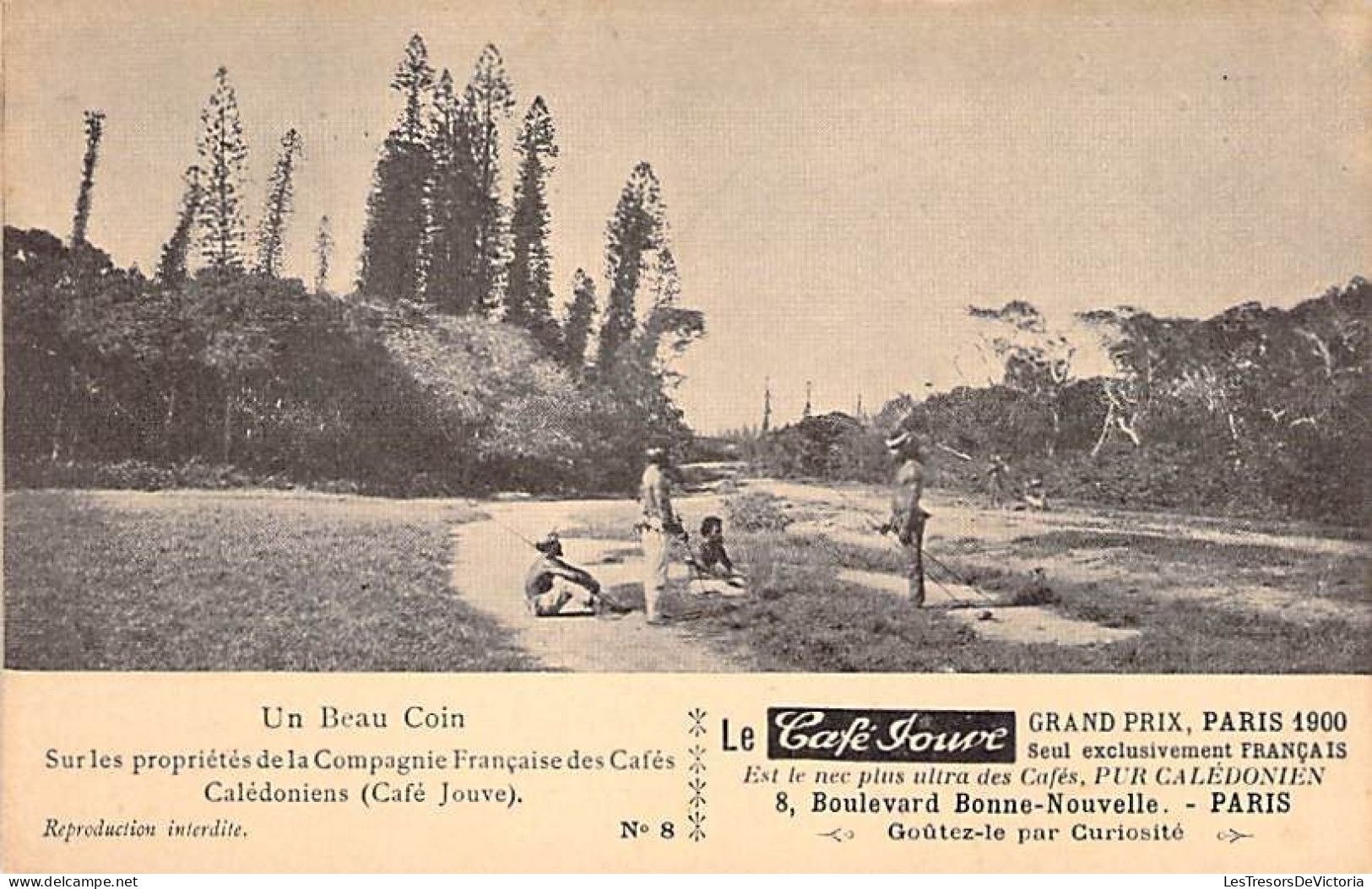 Nouvelle Calédonie - Un Beau Coin Sur Les Propriétés De La Compagnie Française Des Cafés  -  Carte Postale Ancienne - New Caledonia