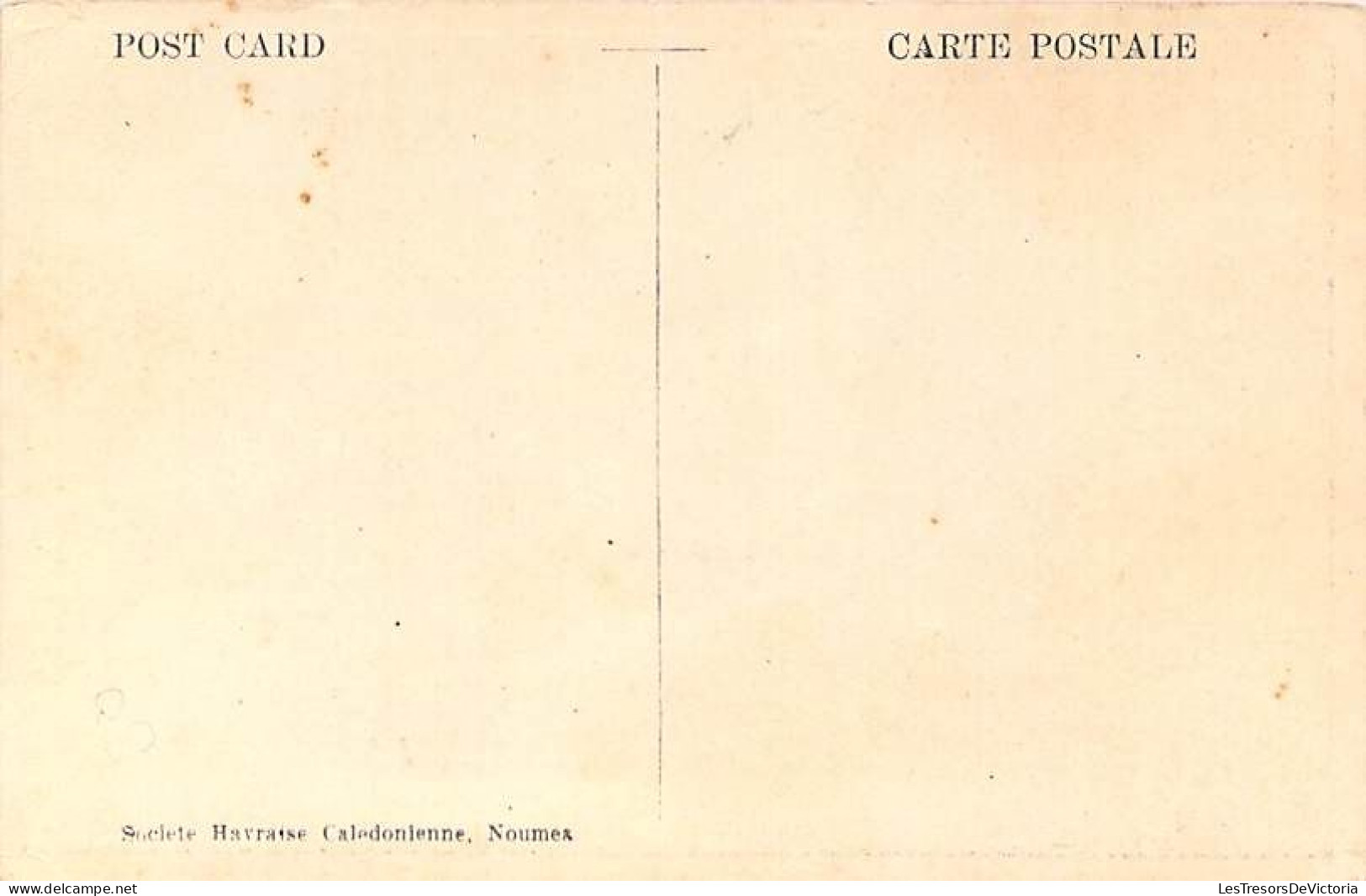 Nouvelle Calédonie - Case Indigène Ancienne - Canaque - Animé -  Carte Postale Ancienne - Nouvelle-Calédonie