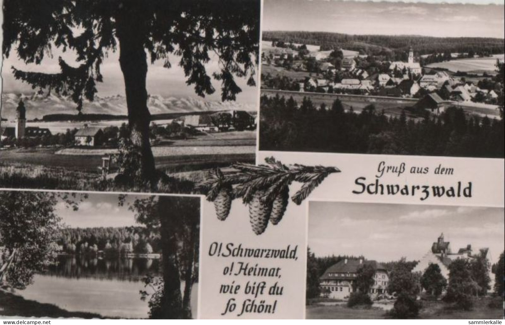 84967 - Grafenhausen - 4 Teilbilder - 1965 - Waldshut-Tiengen