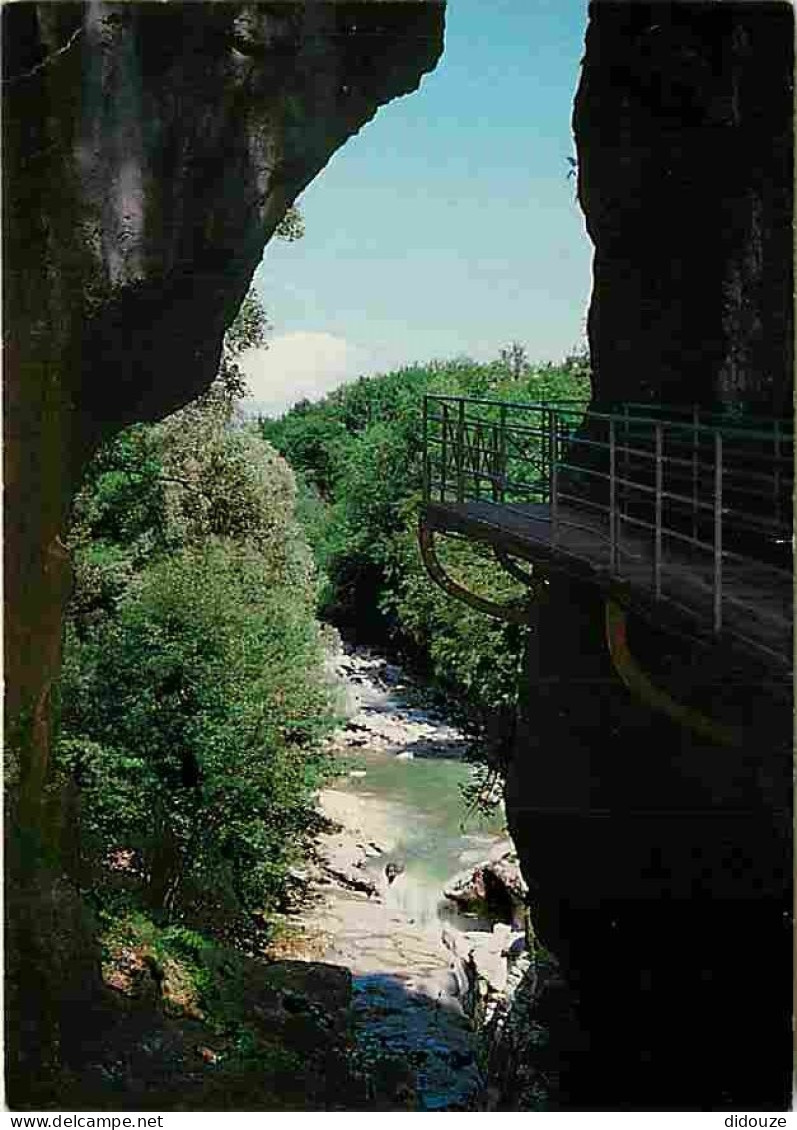 74 - Lovagny - Gorges Du Fier - L'entrée Des Gorges - CPM - Voir Scans Recto-Verso - Lovagny