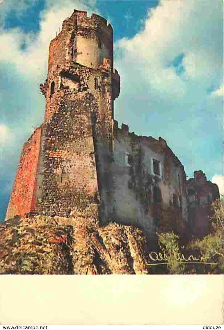 63 - Volvic - Le Château De Tournoel - CPM - Voir Scans Recto-Verso - Volvic