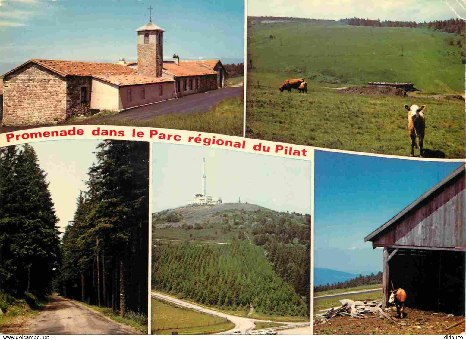 42 - Le Mont Pilat - Parc Régional Du Pilat - Multivues - CPM - Voir Scans Recto-Verso - Mont Pilat