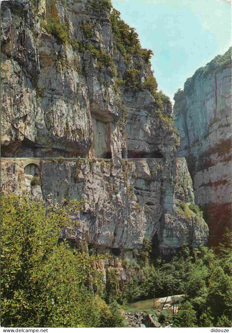 26 - Drome - Vercors - Route Des Grands Goulets - CPM - Voir Scans Recto-Verso - Les Grands Goulets