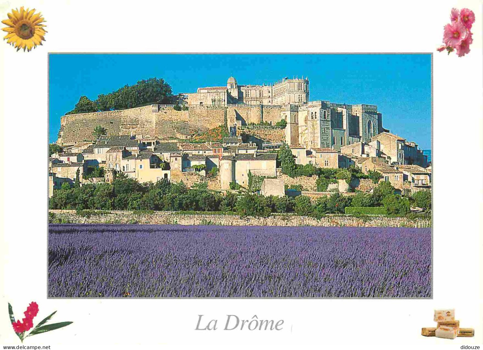 26 - Grignan - Vue Générale - Champs De Lavande - CPM - Voir Scans Recto-Verso - Grignan