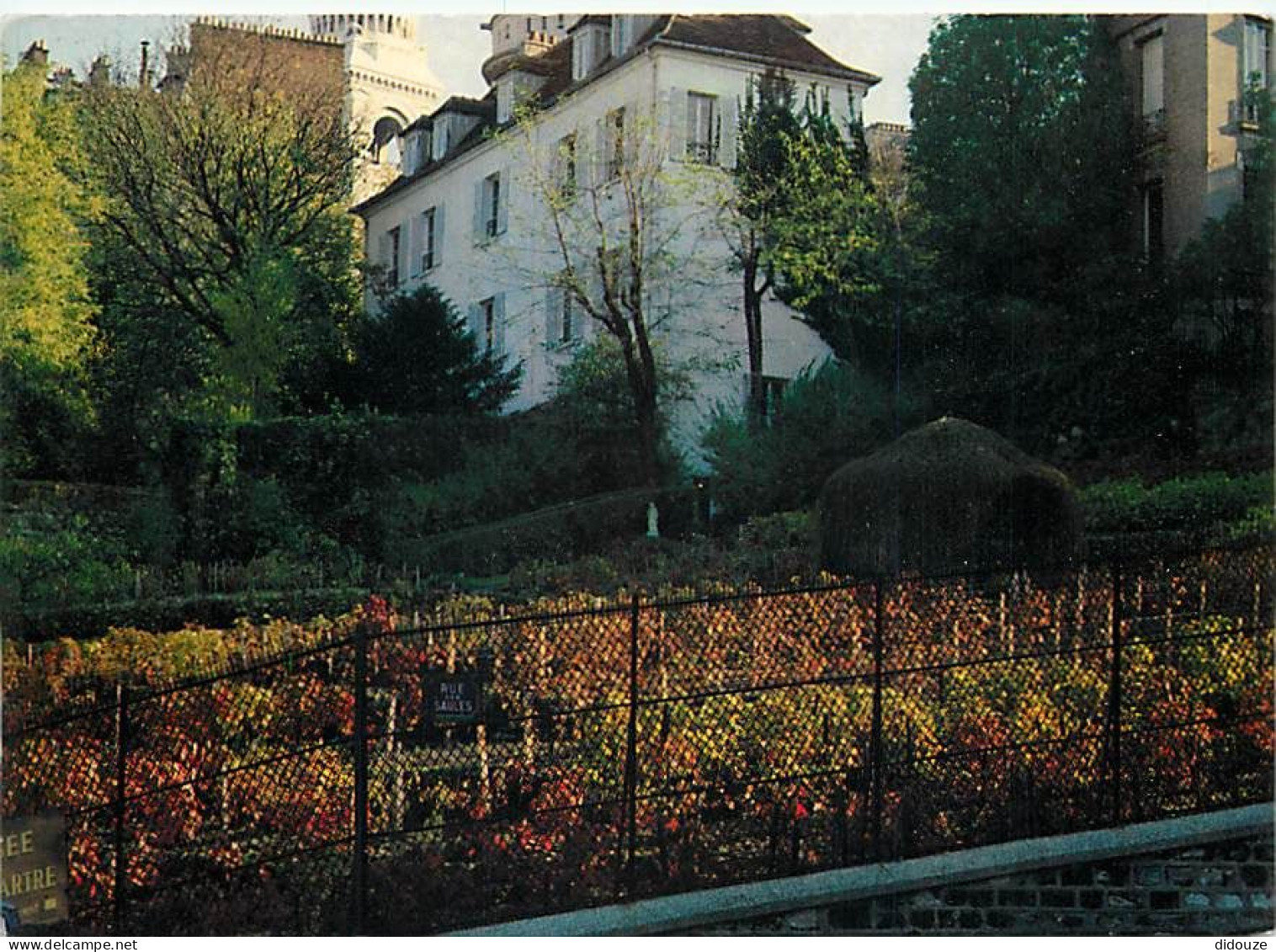 Vignes - Paris - Les Vignes De Montmartre - CPM - Voir Scans Recto-Verso - Vignes