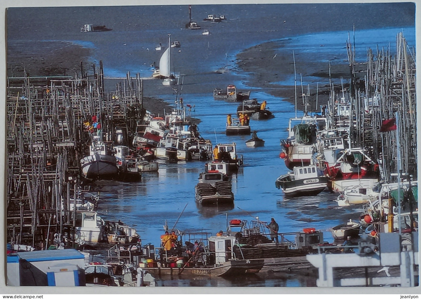 HUITRE / OSTREICULTURE VENDEE ATLANTIQUE - Retour De Marée / Port Ostréicole Du Bec - Carte Publicitaire - Fischerei