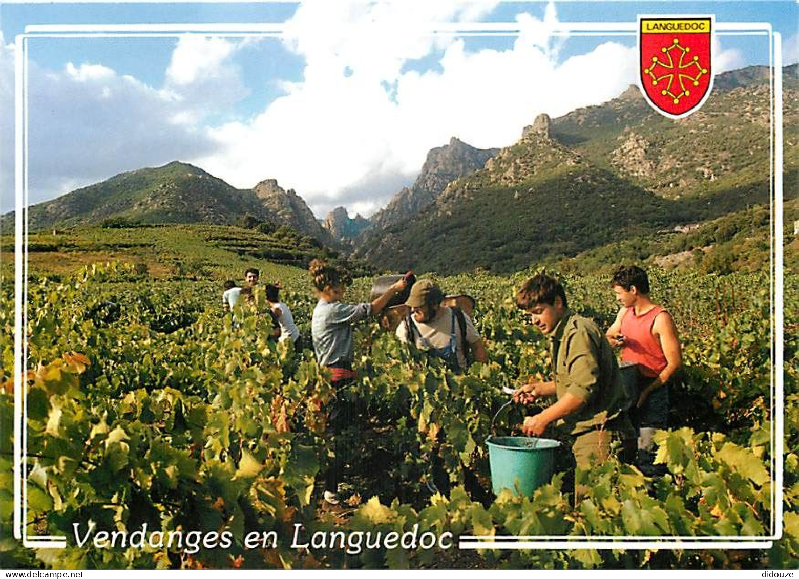 Vignes - Scènes De Vendanges - Les Vendanges En Languedoc - Blasons - CPM - Carte Neuve - Voir Scans Recto-Verso - Vignes