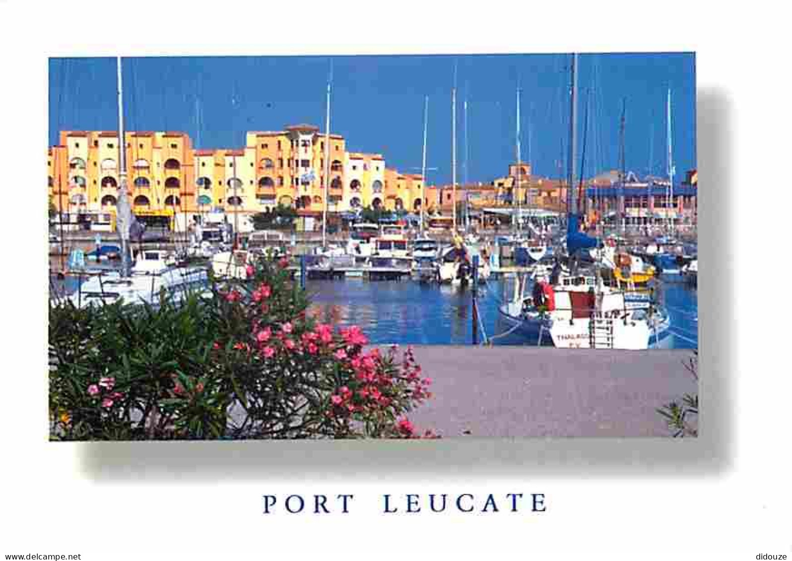 11 - Leucate - Port Leucate - Le Port De Plaisance - Flamme Postale De Leucate - CPM - Voir Scans Recto-Verso - Leucate