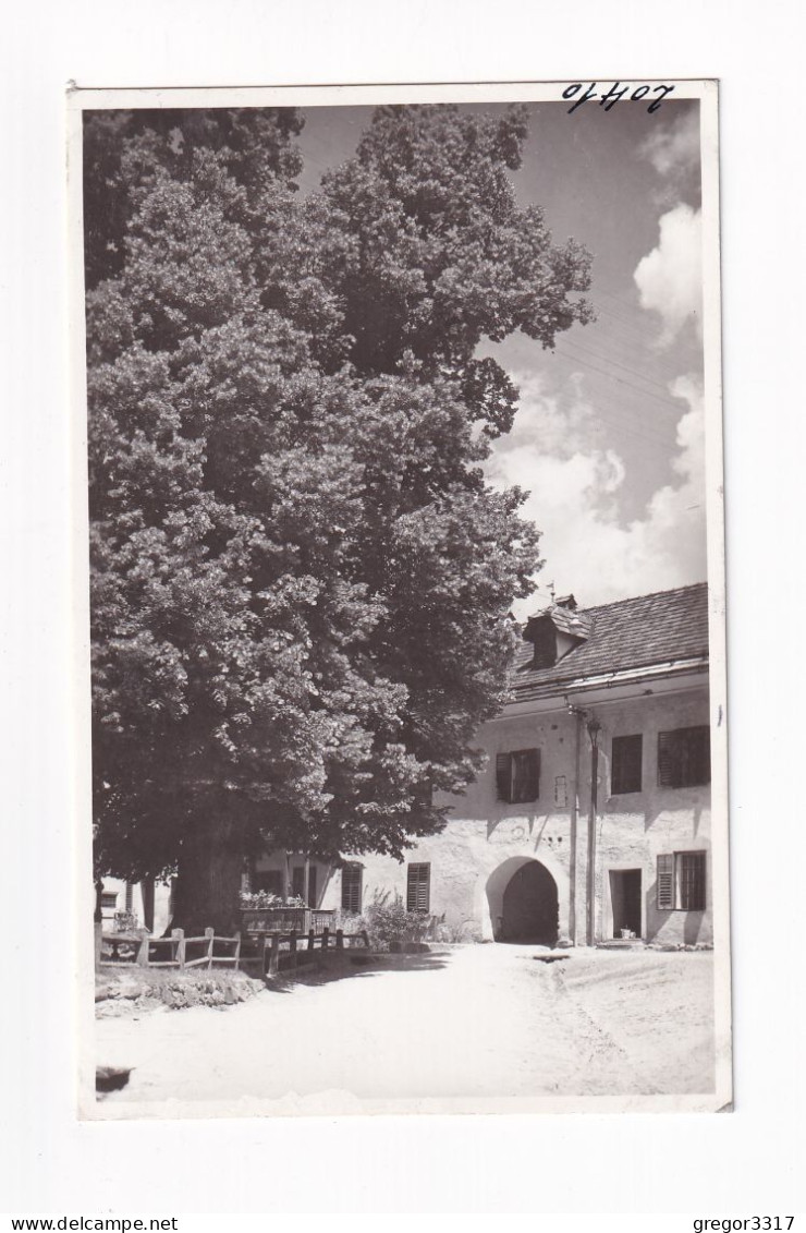 E6391) MILLSTATT Am SEE - Kärnten FOTO AK Mit Linde U. Gebäude ALT! - Millstatt